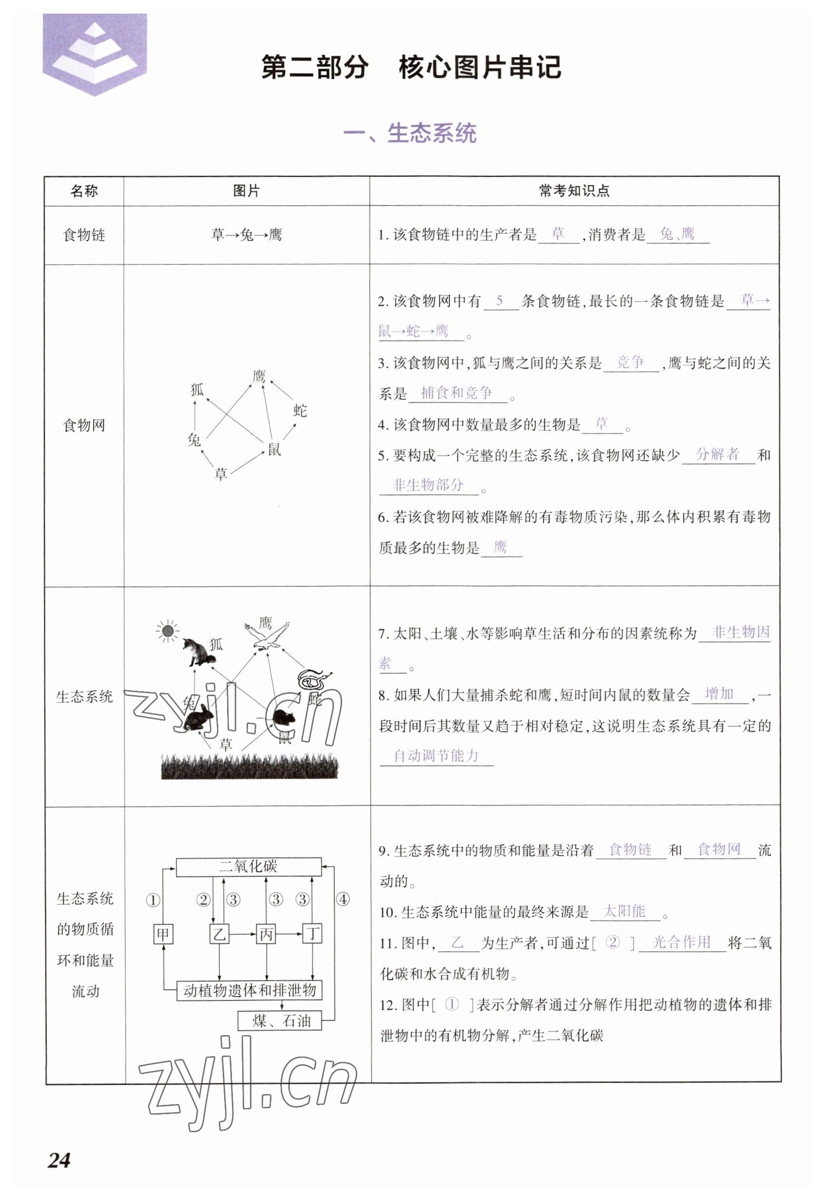 2023年中考通生物河南專版 參考答案第24頁