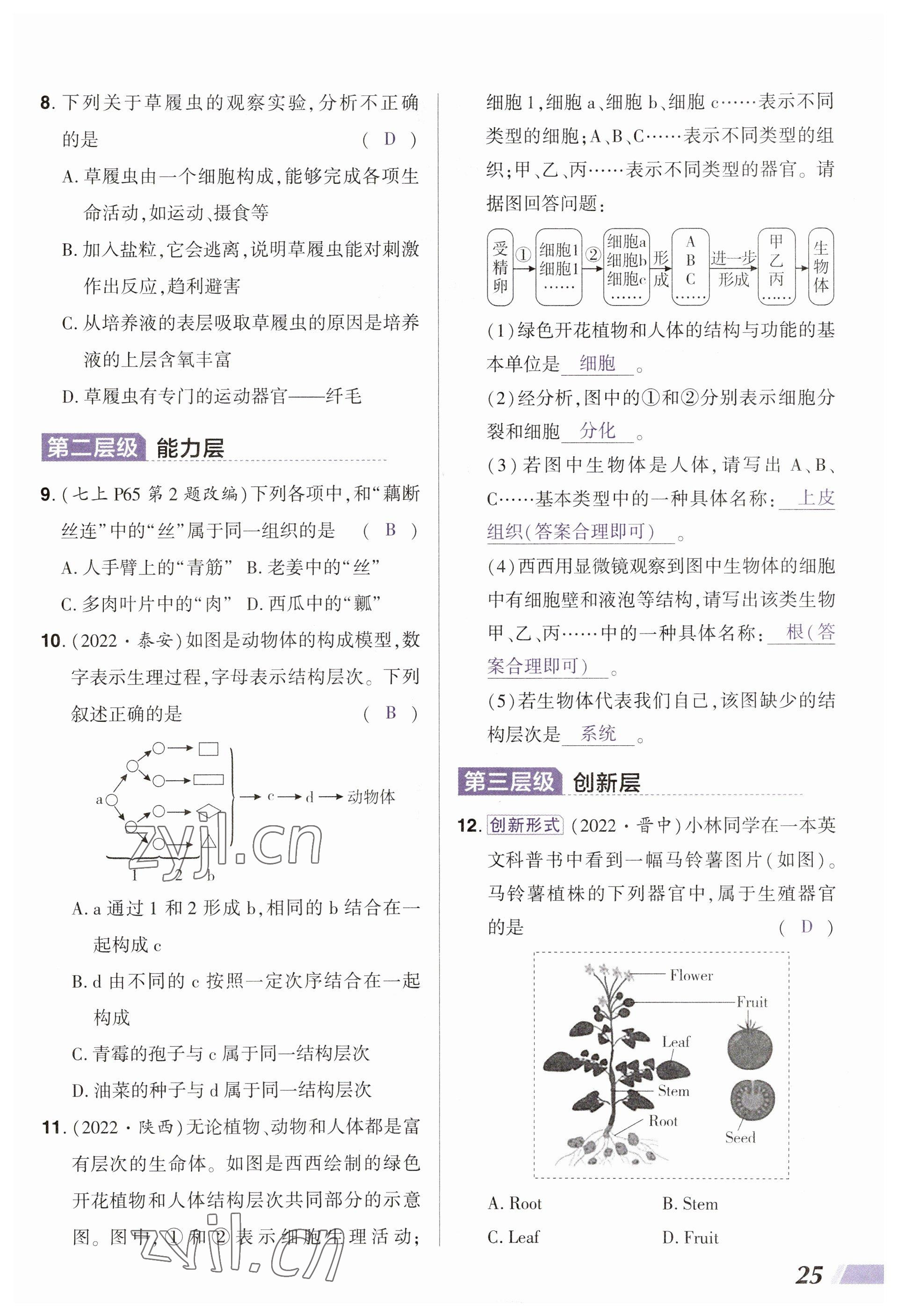 2023年中考通生物河南專(zhuān)版 參考答案第25頁(yè)