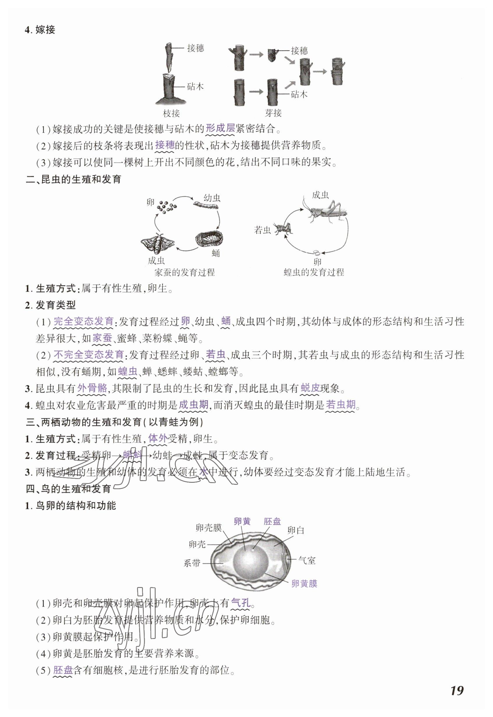 2023年中考通生物河南專版 參考答案第19頁