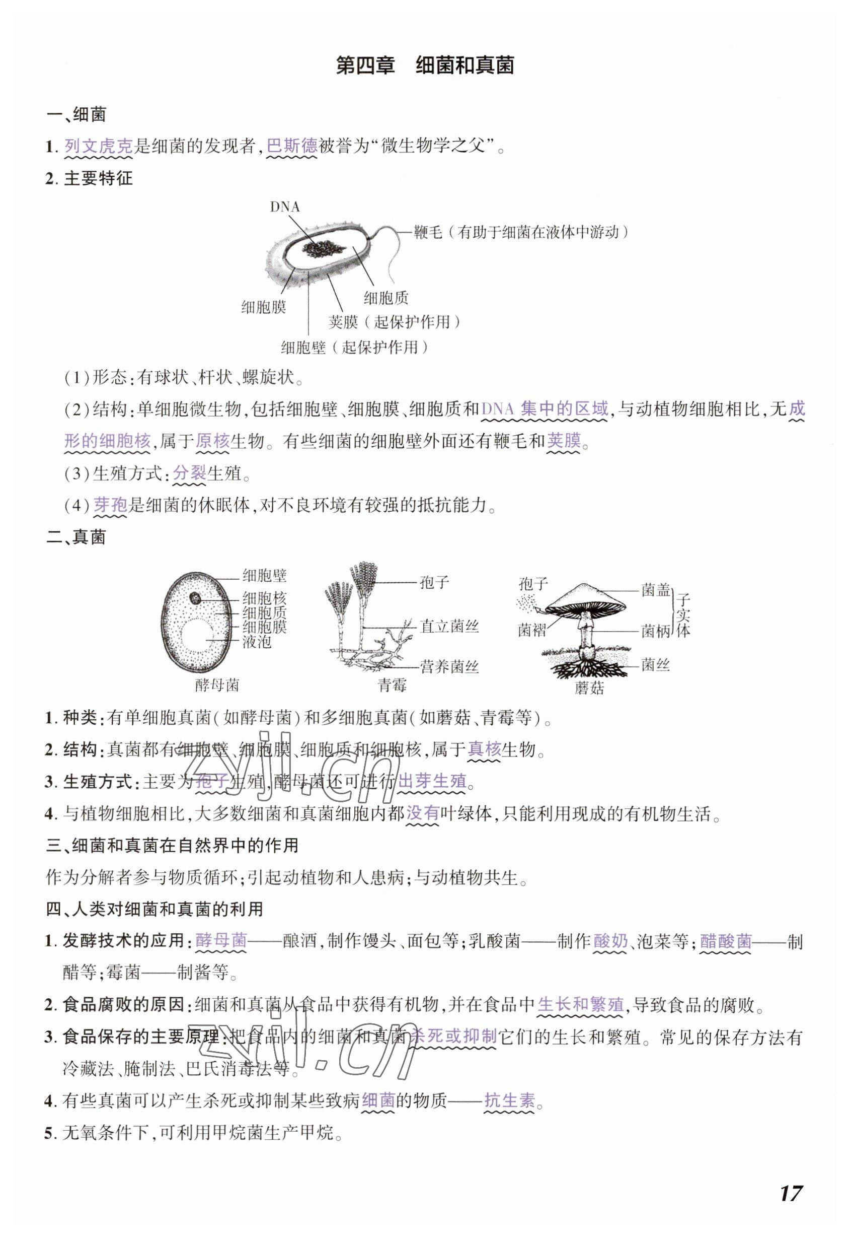 2023年中考通生物河南专版 参考答案第17页