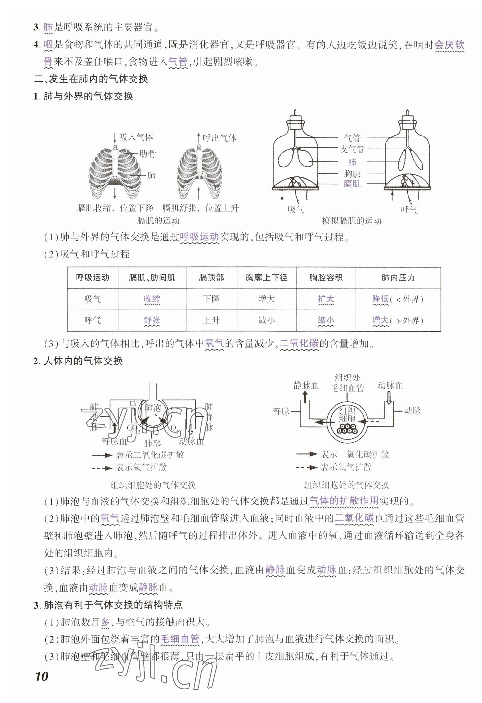 2023年中考通生物河南專版 參考答案第10頁