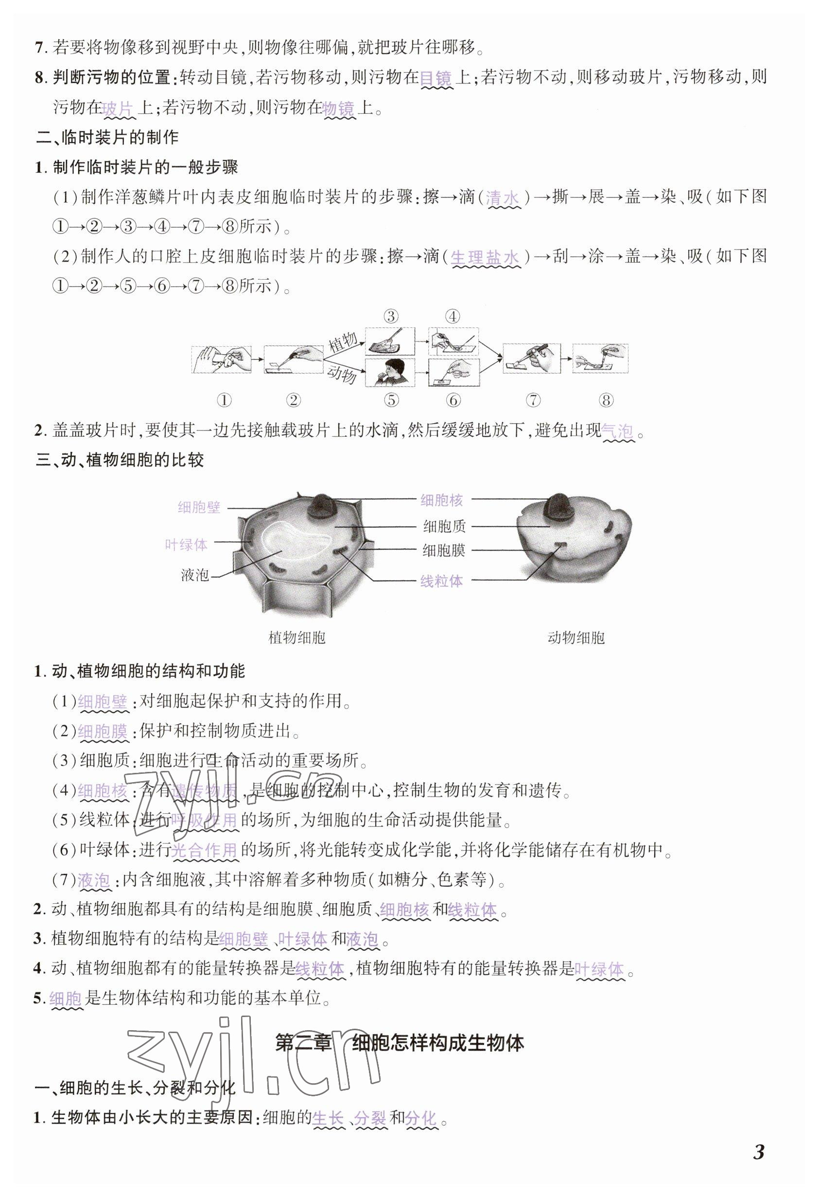 2023年中考通生物河南專版 參考答案第3頁(yè)