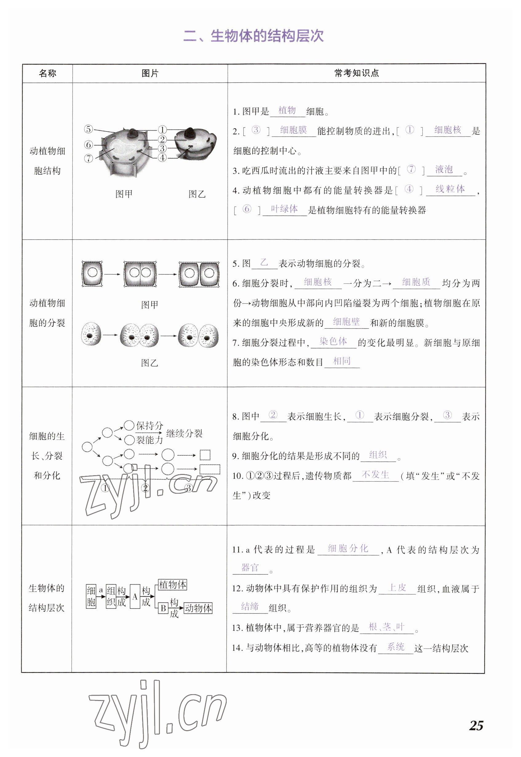 2023年中考通生物河南专版 参考答案第25页