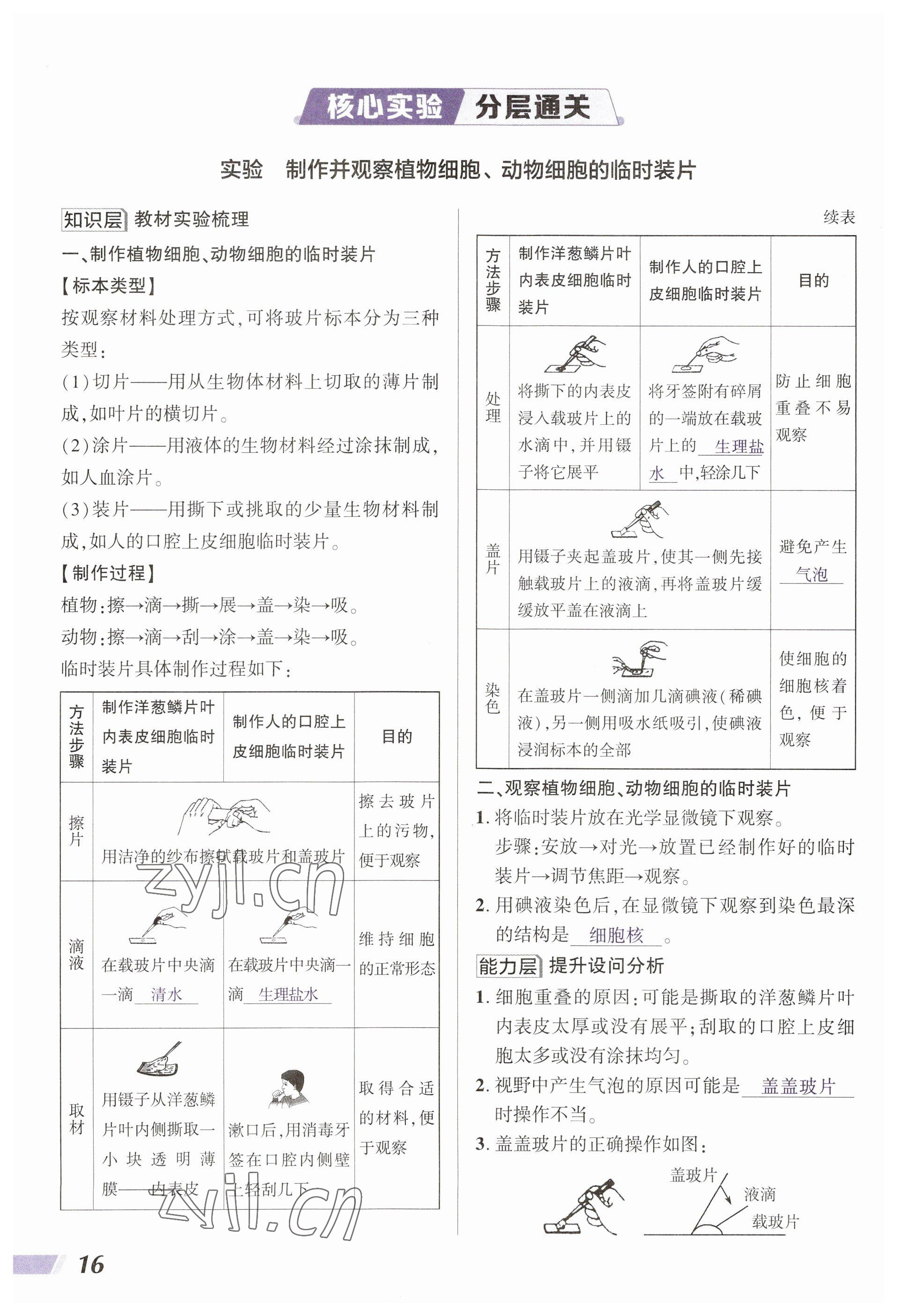 2023年中考通生物河南專版 參考答案第16頁(yè)