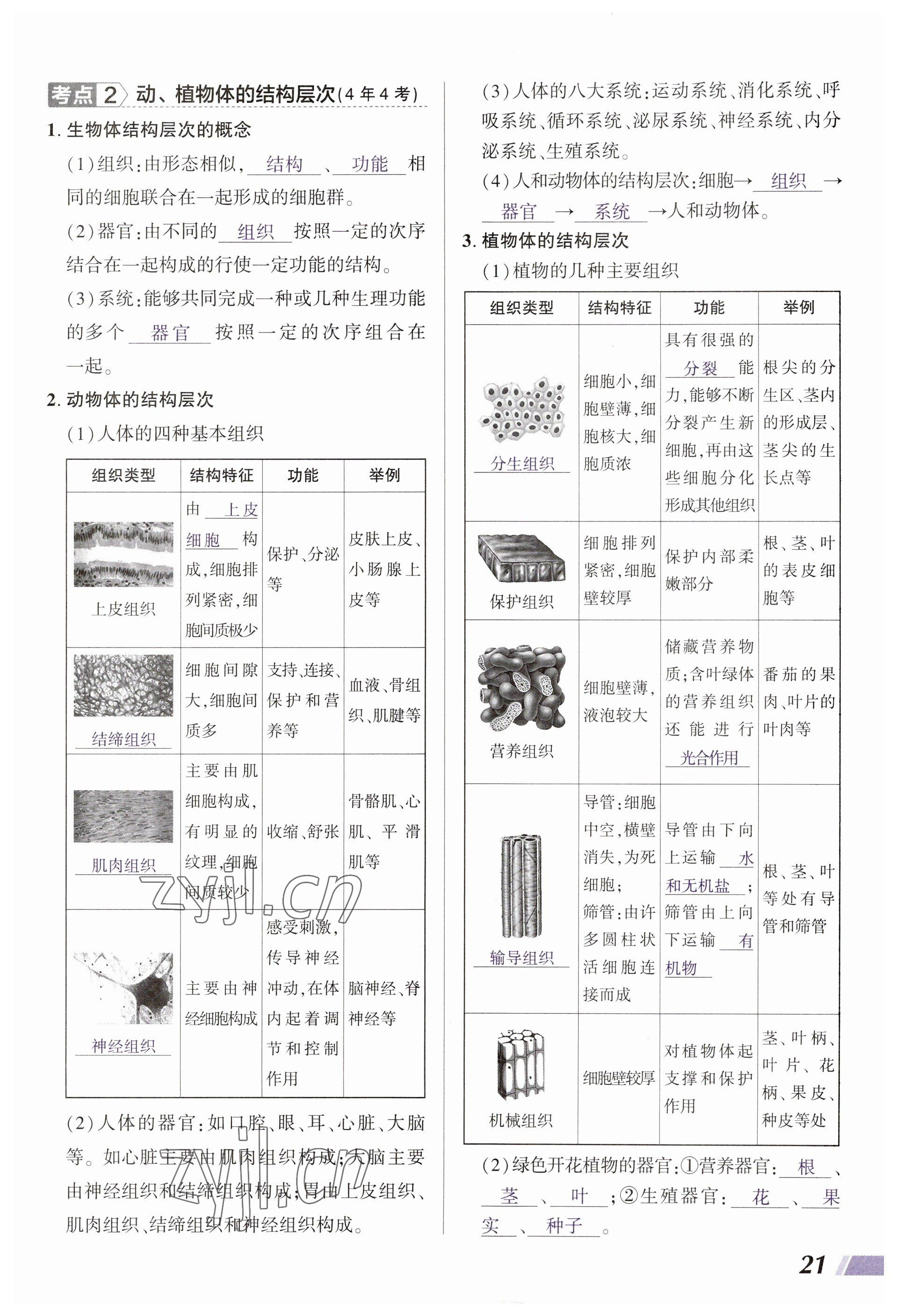 2023年中考通生物河南專版 參考答案第21頁(yè)