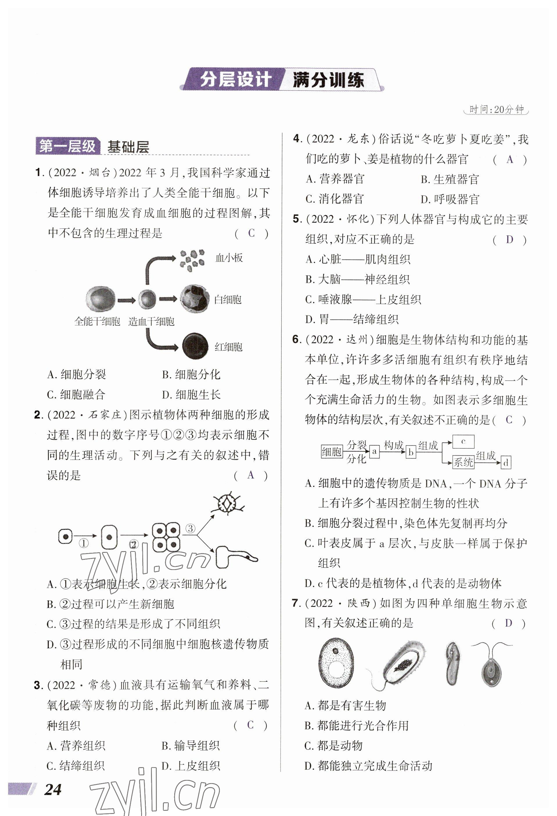 2023年中考通生物河南專版 參考答案第24頁