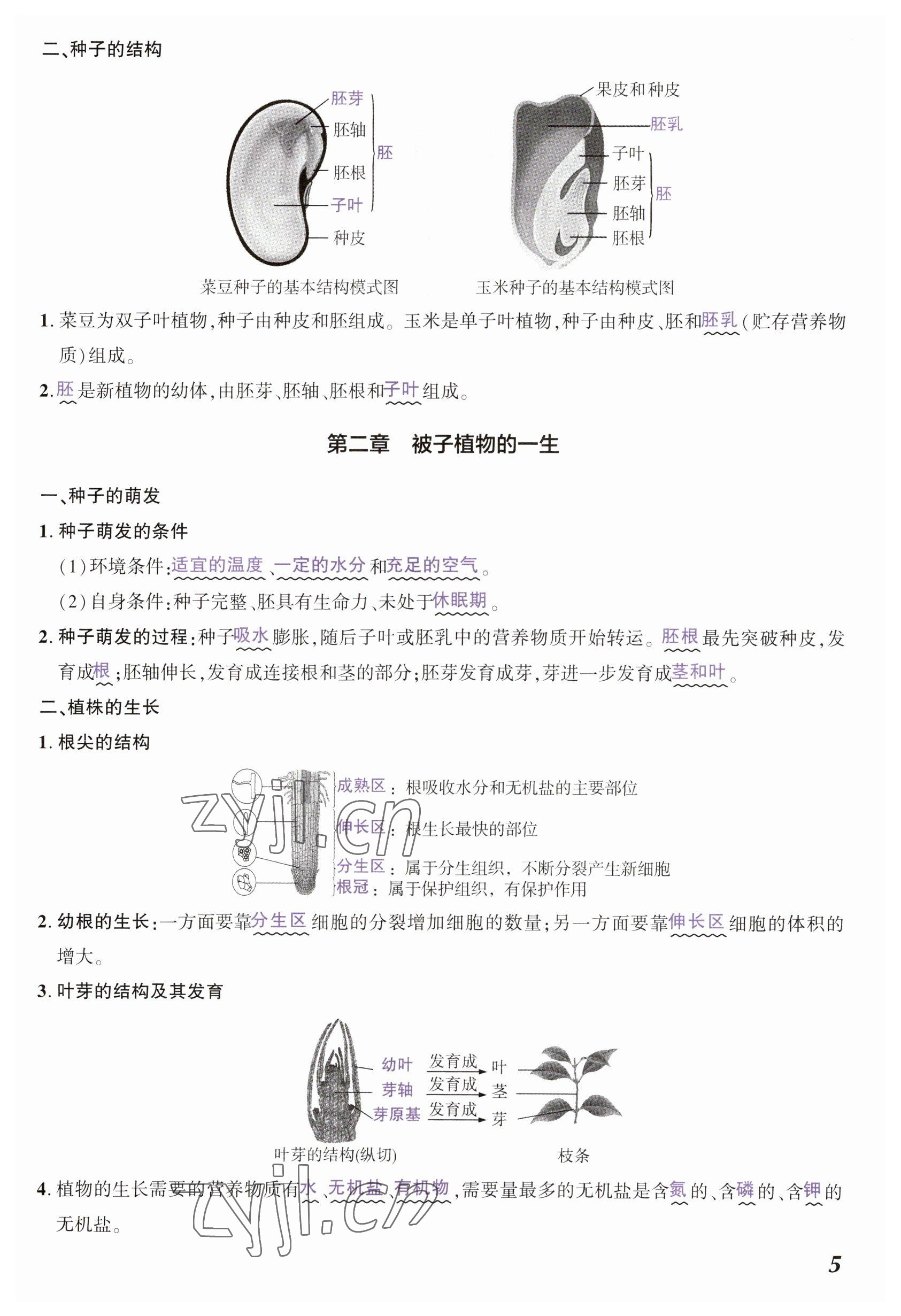 2023年中考通生物河南專版 參考答案第5頁