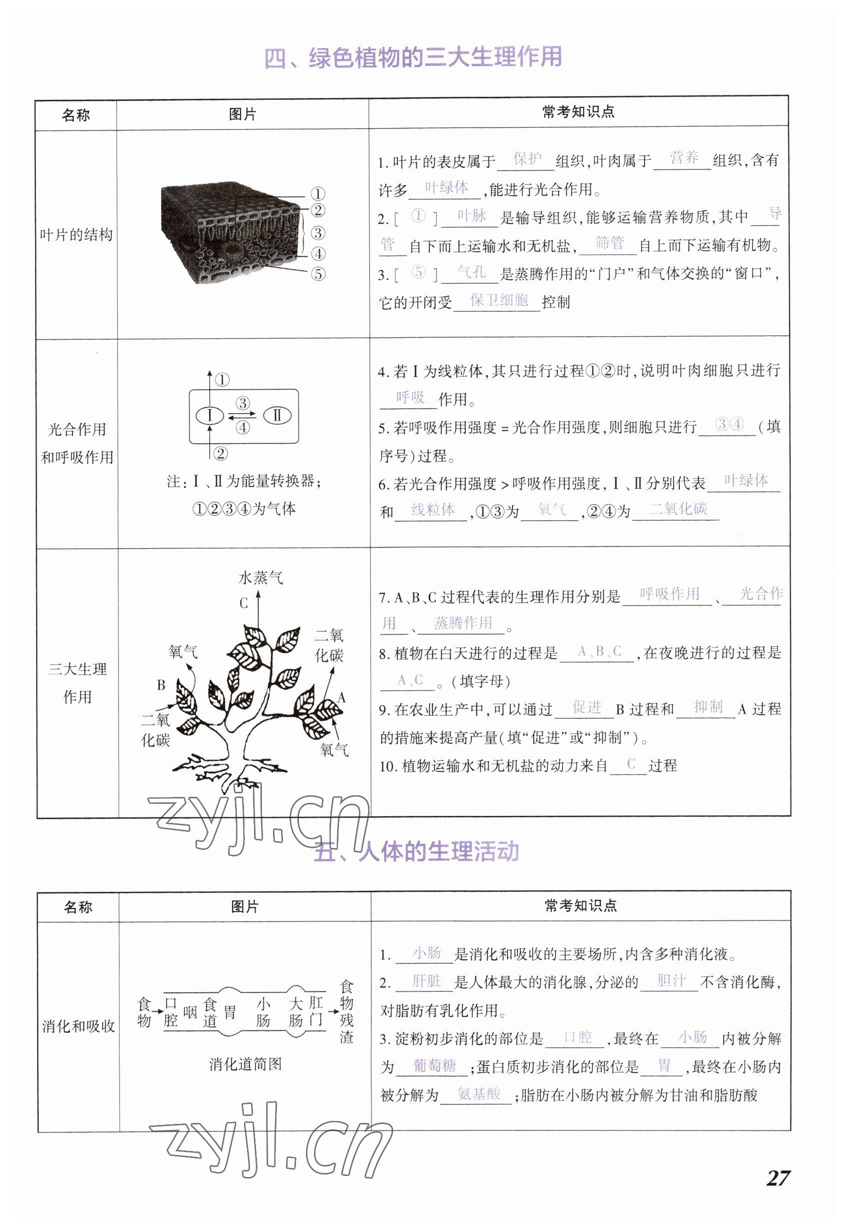 2023年中考通生物河南專版 參考答案第27頁(yè)