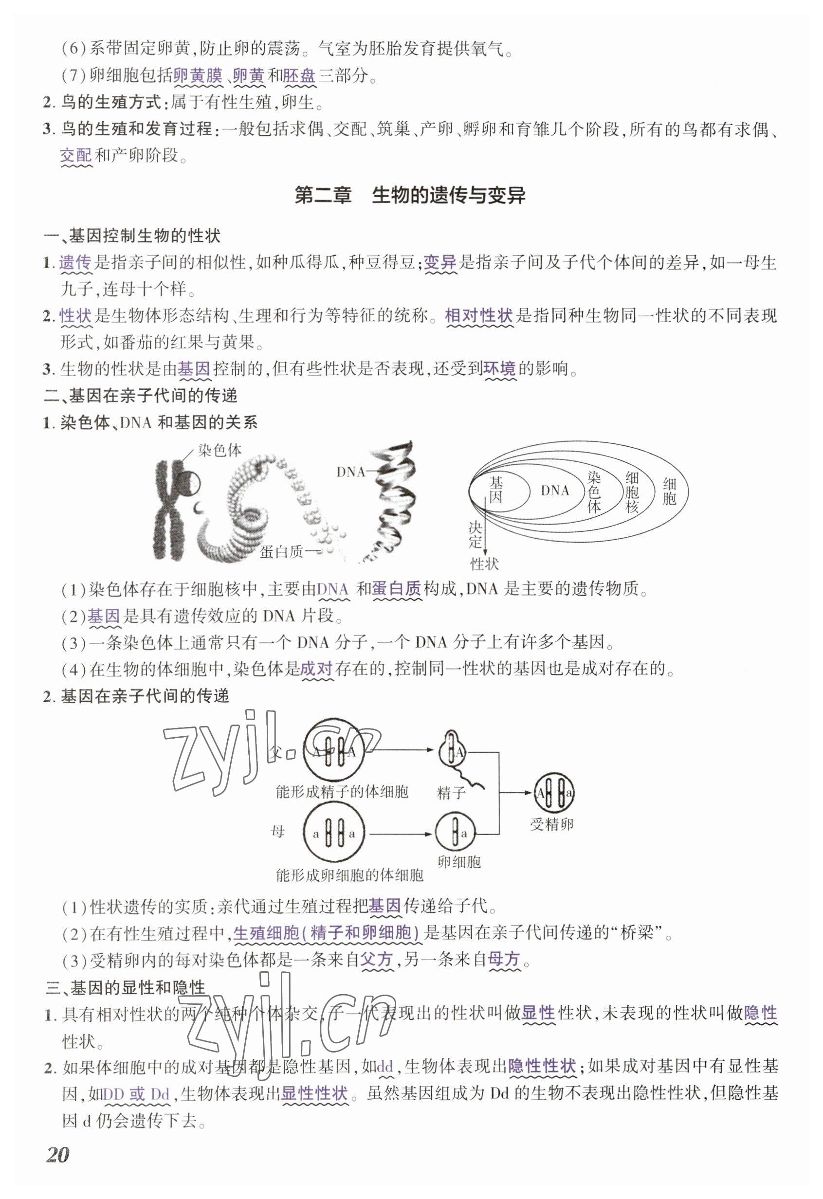 2023年中考通生物河南專版 參考答案第20頁