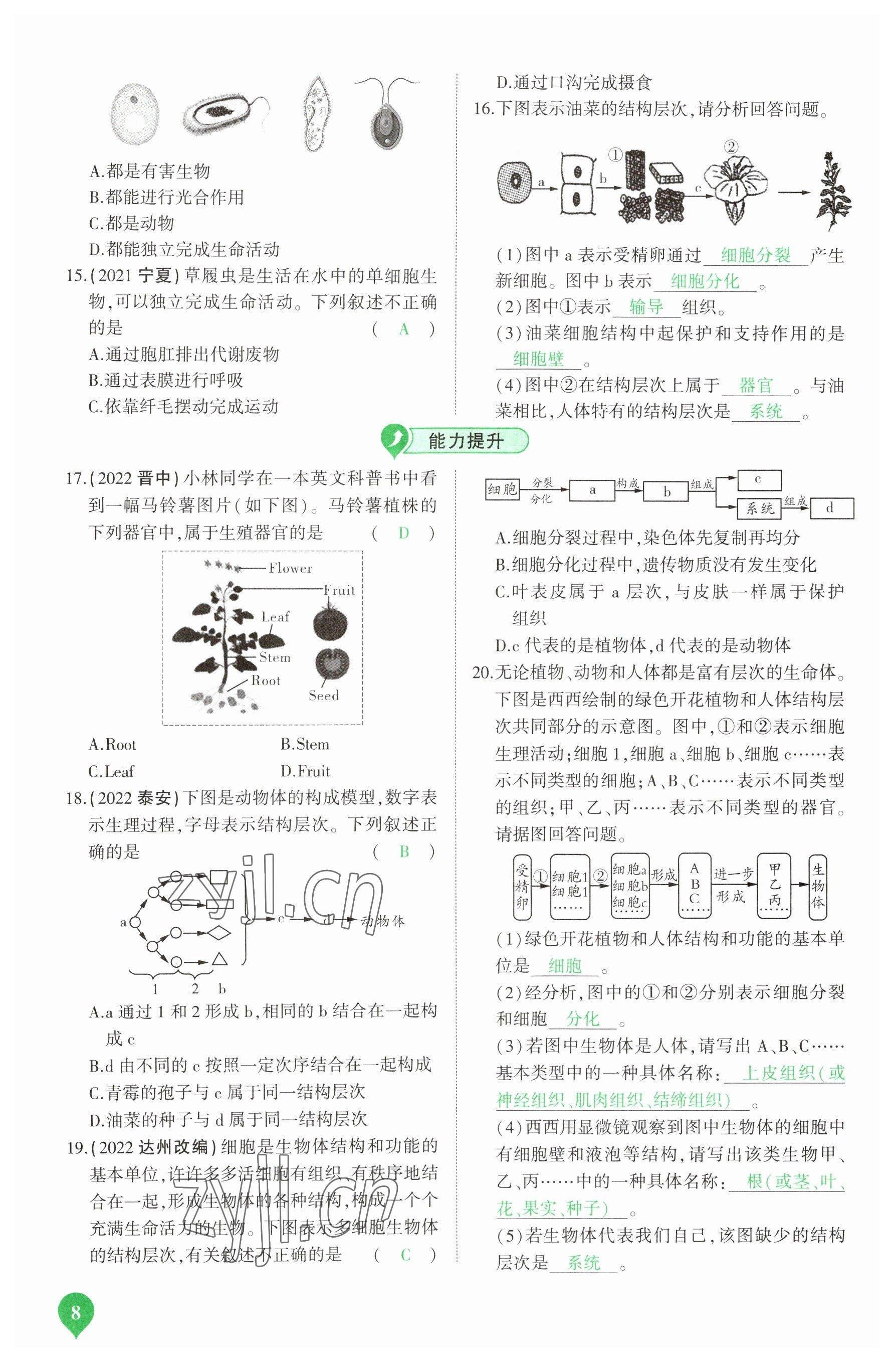 2023年河南中考第一輪總復(fù)習(xí)一本全生物 參考答案第8頁(yè)
