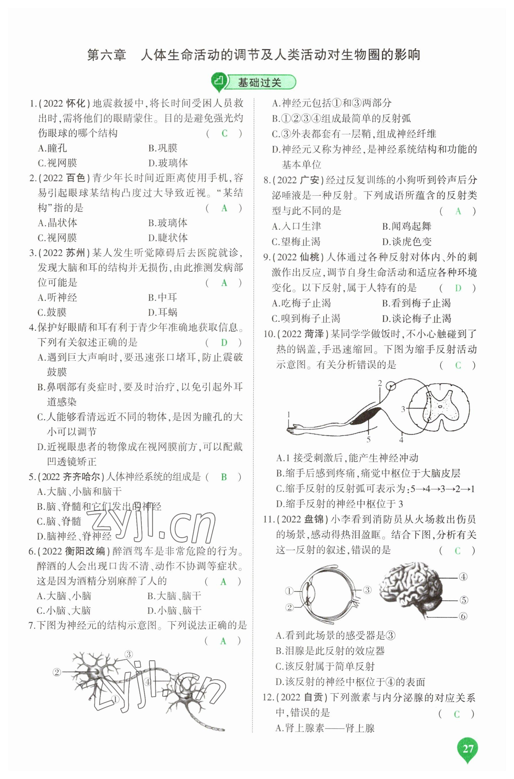 2023年河南中考第一輪總復(fù)習(xí)一本全生物 參考答案第27頁