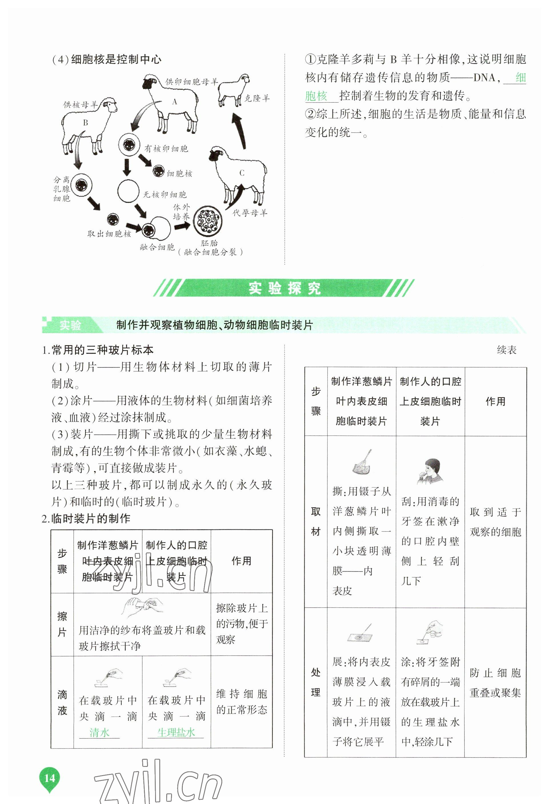 2023年河南中考第一輪總復(fù)習(xí)一本全生物 參考答案第14頁(yè)