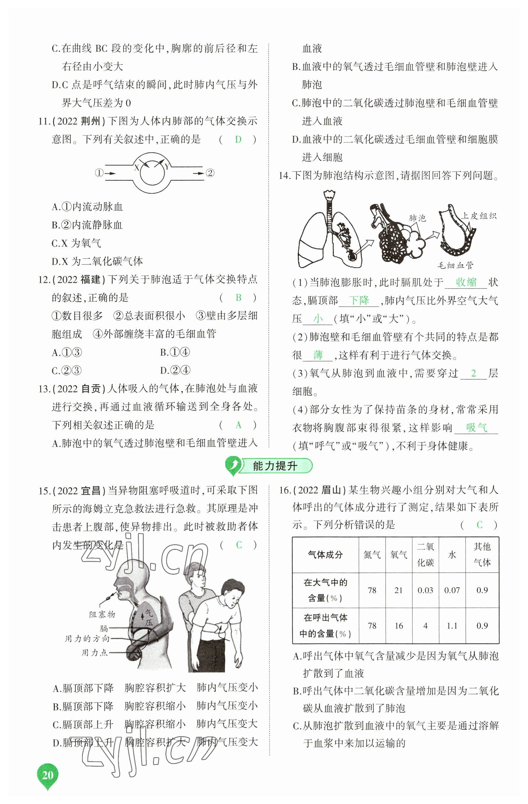 2023年河南中考第一輪總復習一本全生物 參考答案第20頁