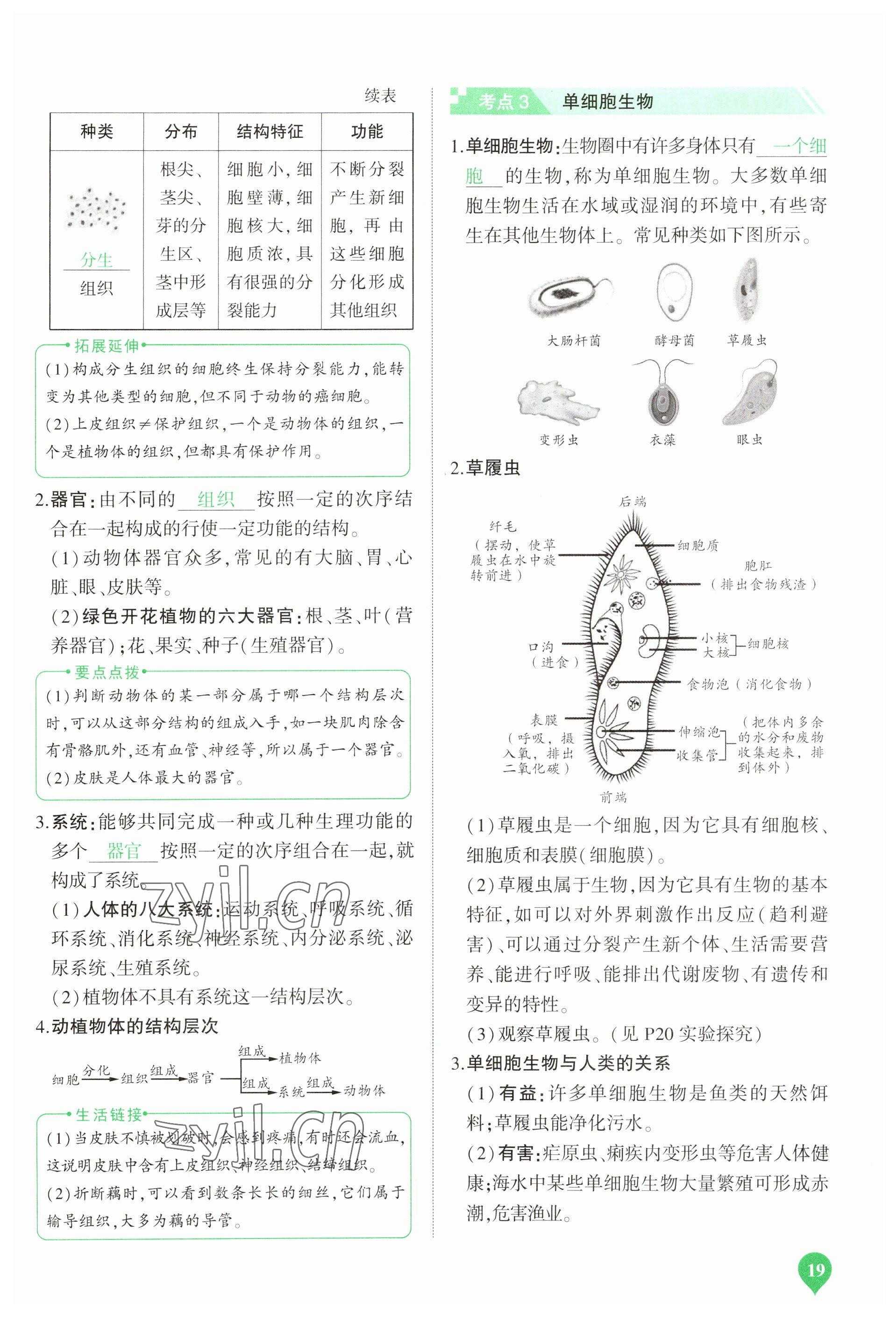 2023年河南中考第一輪總復習一本全生物 參考答案第19頁