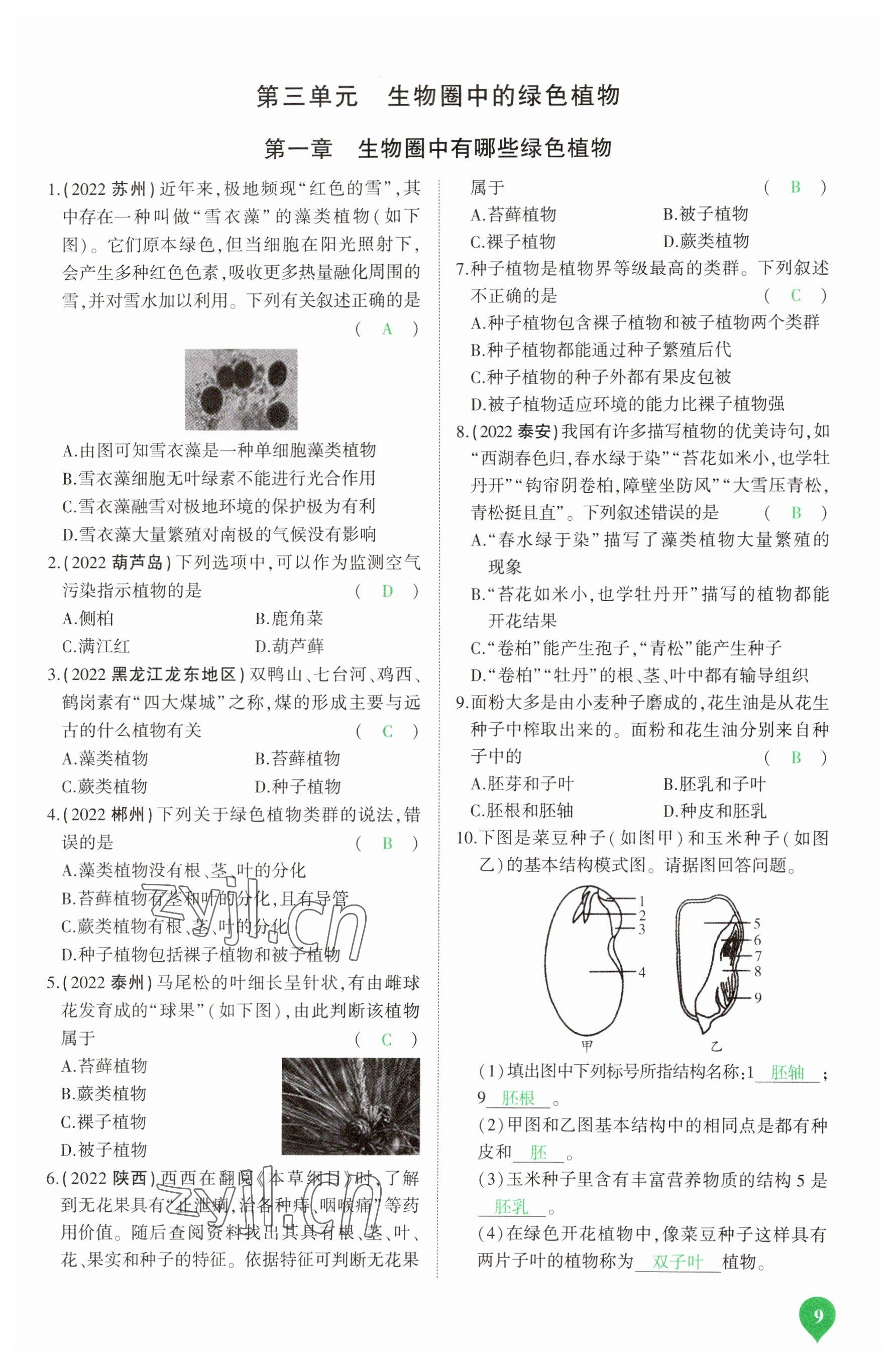2023年河南中考第一輪總復(fù)習(xí)一本全生物 參考答案第9頁