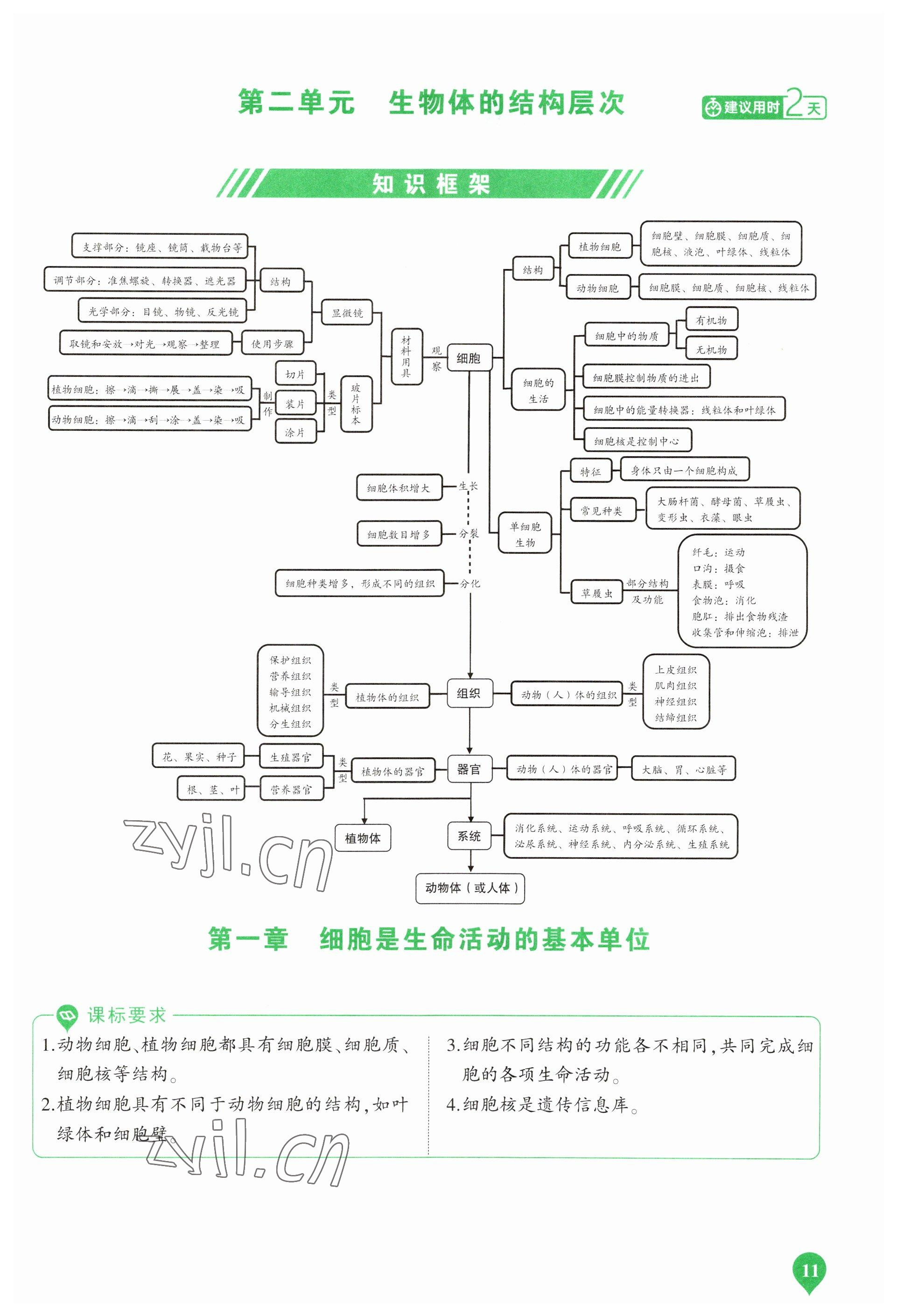 2023年河南中考第一輪總復(fù)習(xí)一本全生物 參考答案第11頁(yè)