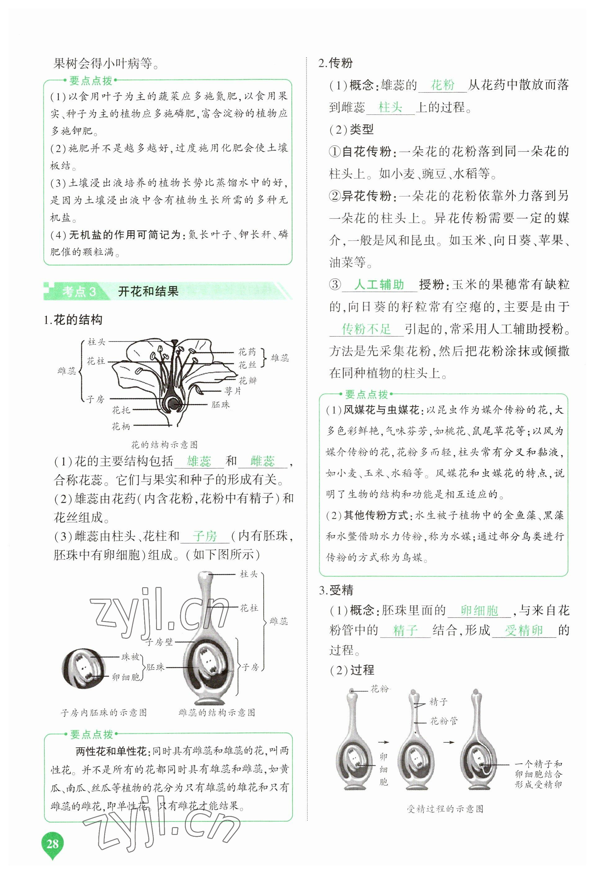 2023年河南中考第一輪總復(fù)習(xí)一本全生物 參考答案第28頁(yè)