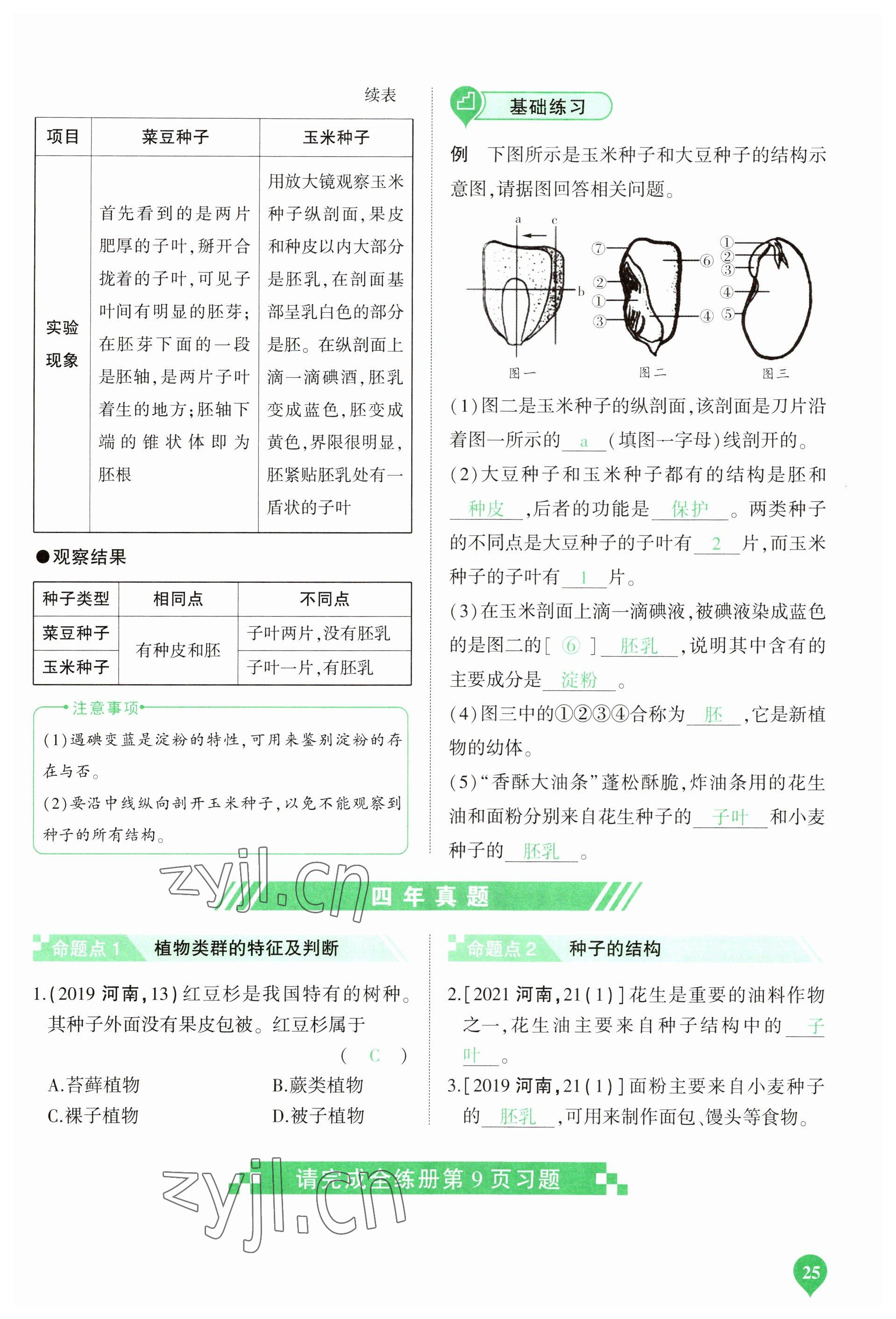 2023年河南中考第一輪總復(fù)習(xí)一本全生物 參考答案第25頁(yè)
