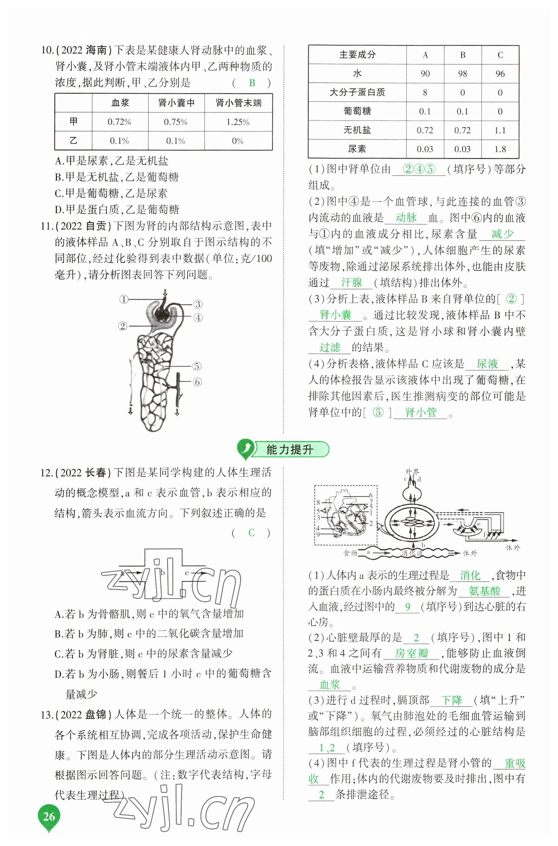 2023年河南中考第一輪總復(fù)習(xí)一本全生物 參考答案第26頁