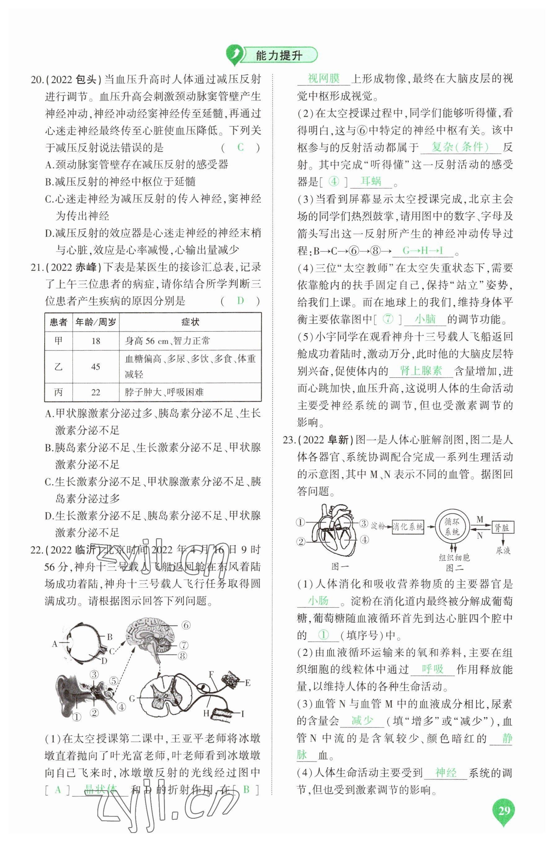 2023年河南中考第一輪總復習一本全生物 參考答案第29頁