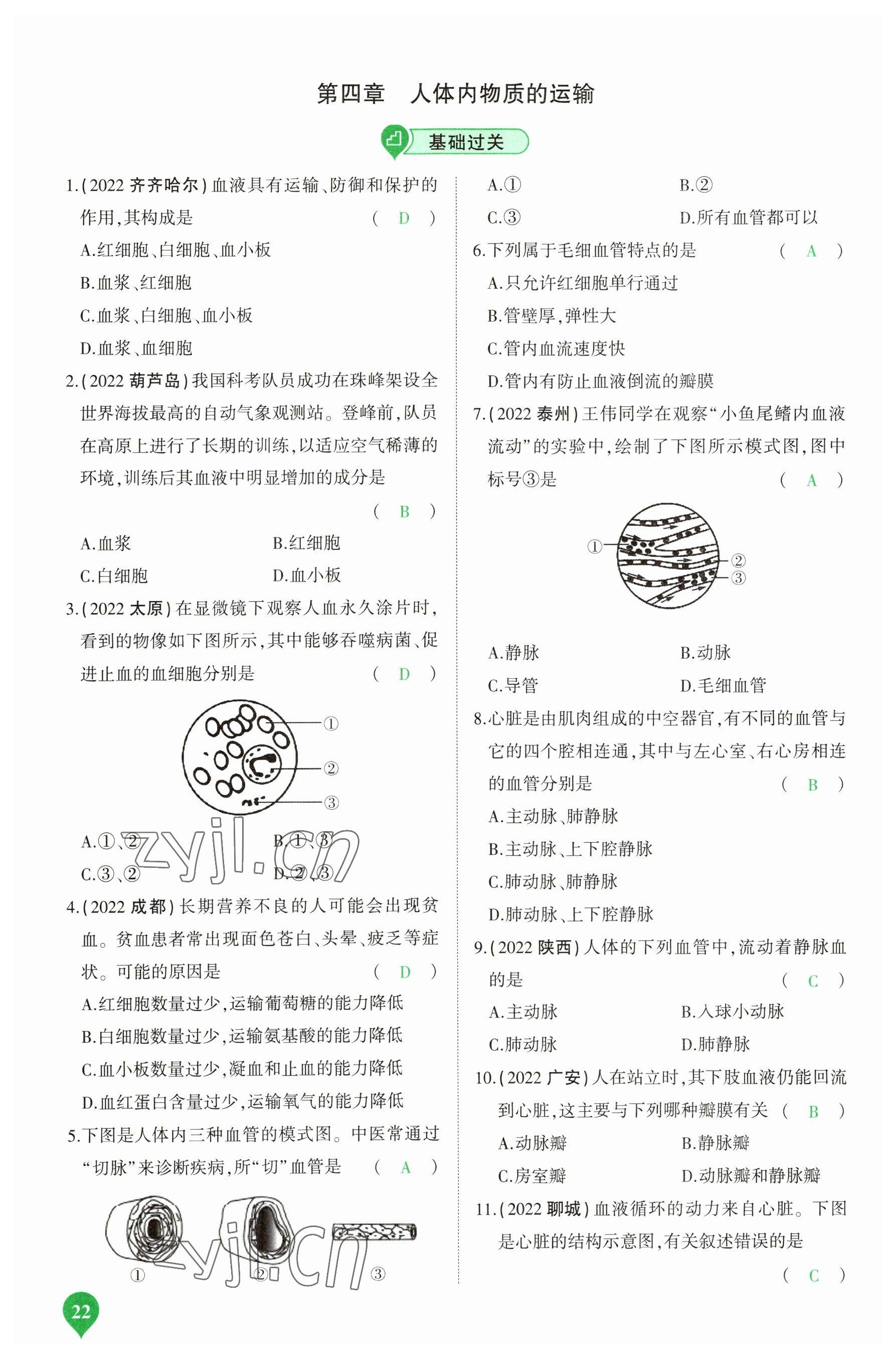 2023年河南中考第一輪總復(fù)習(xí)一本全生物 參考答案第22頁(yè)