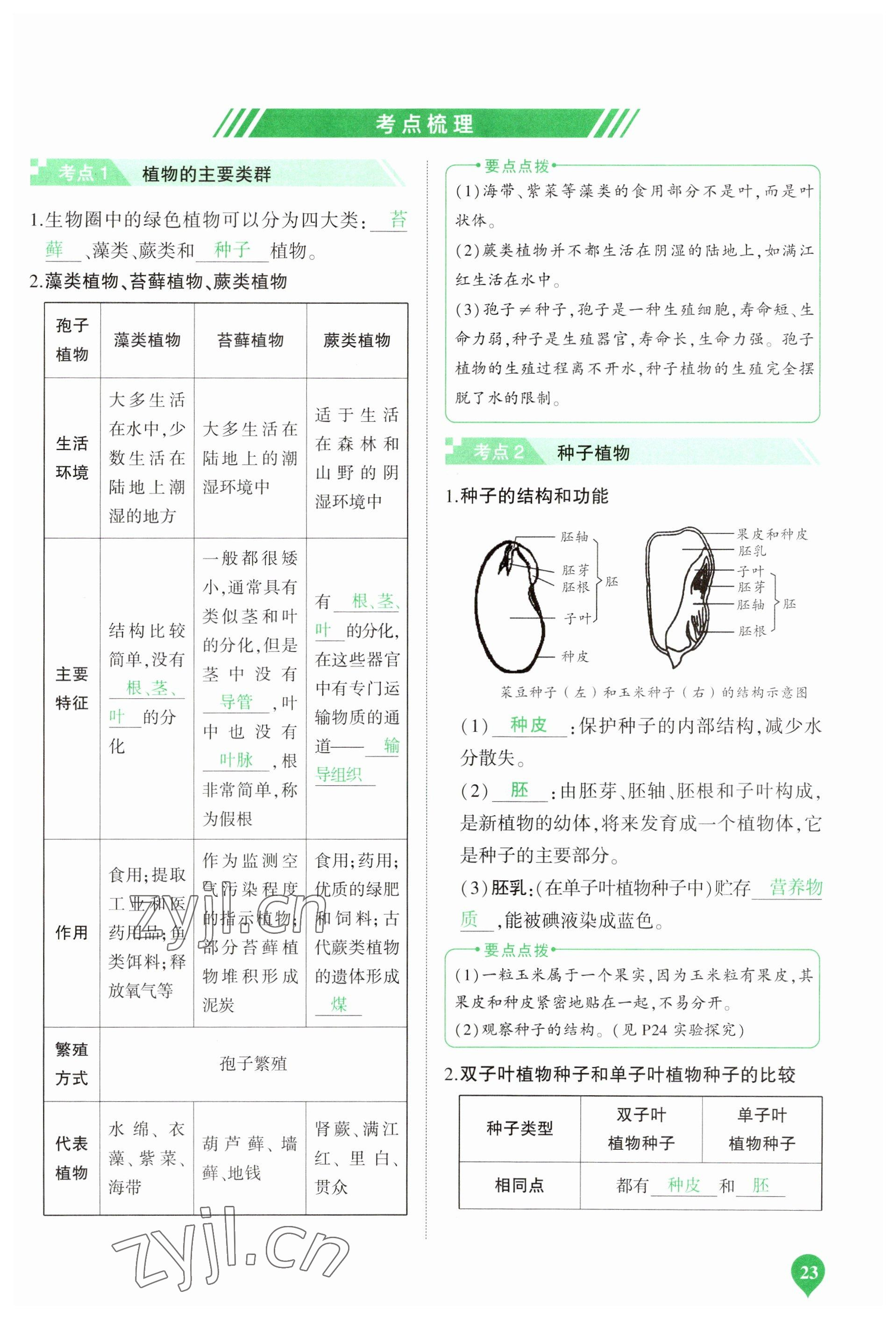 2023年河南中考第一輪總復習一本全生物 參考答案第23頁