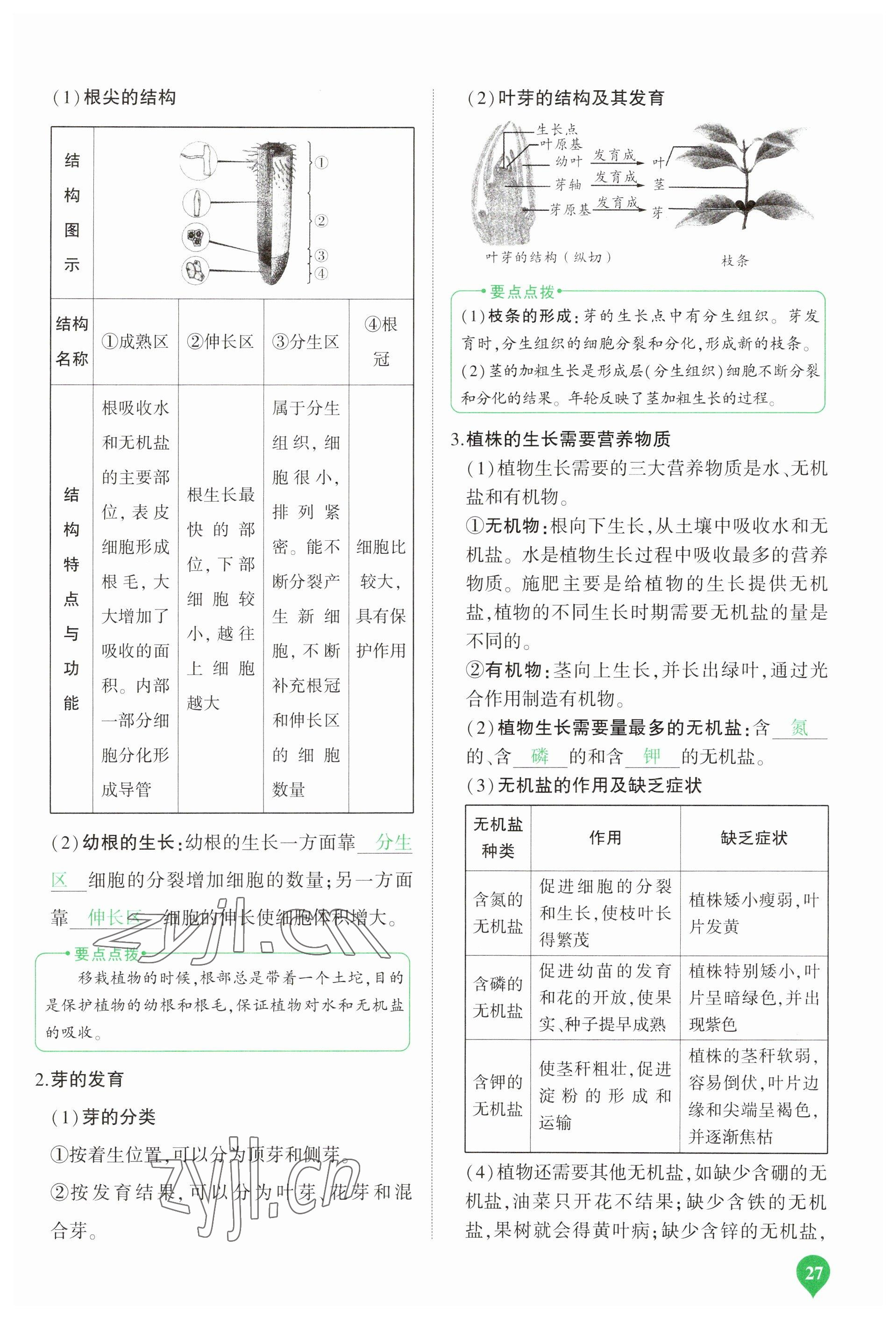 2023年河南中考第一輪總復(fù)習(xí)一本全生物 參考答案第27頁