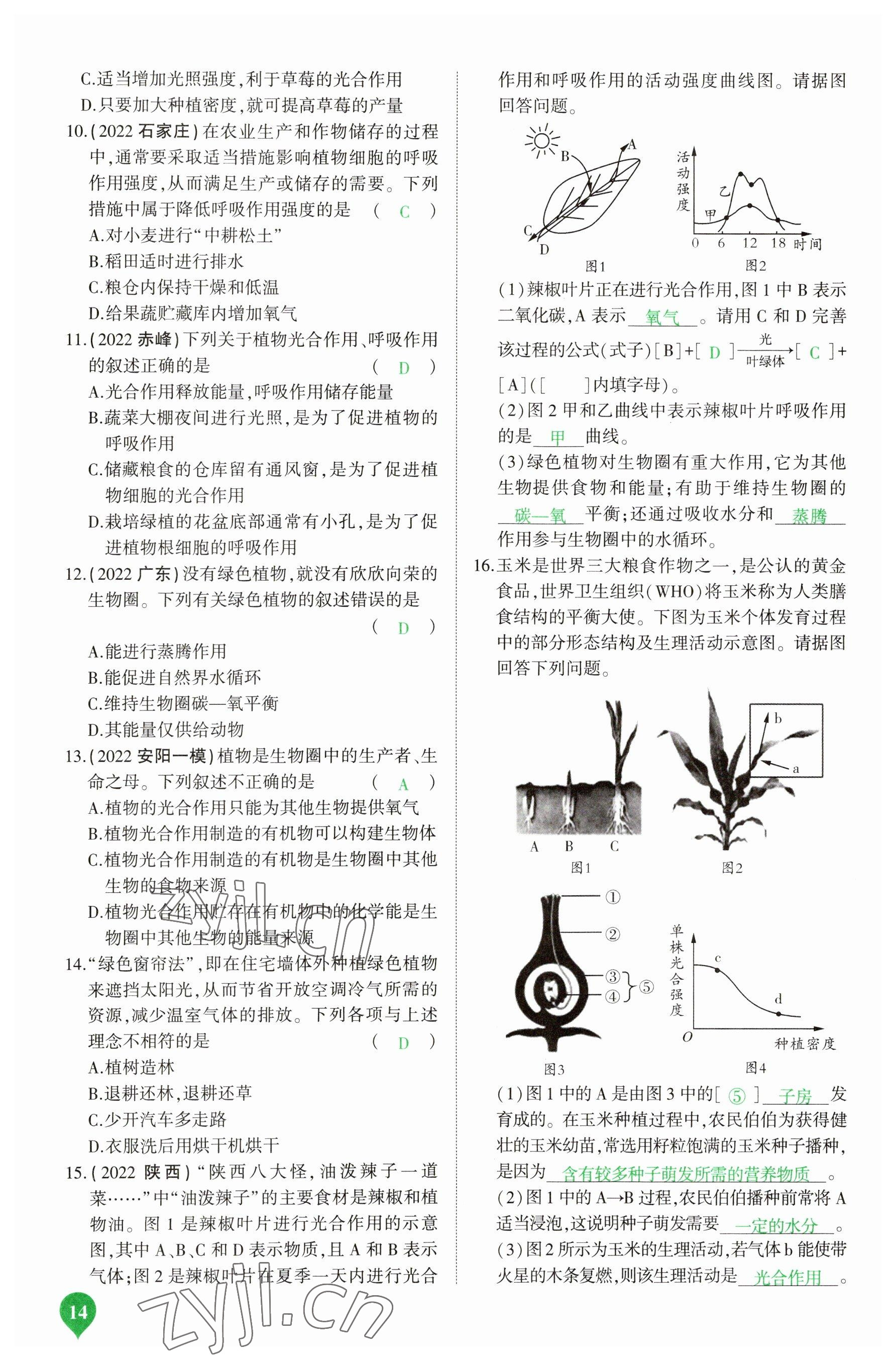 2023年河南中考第一輪總復(fù)習(xí)一本全生物 參考答案第14頁