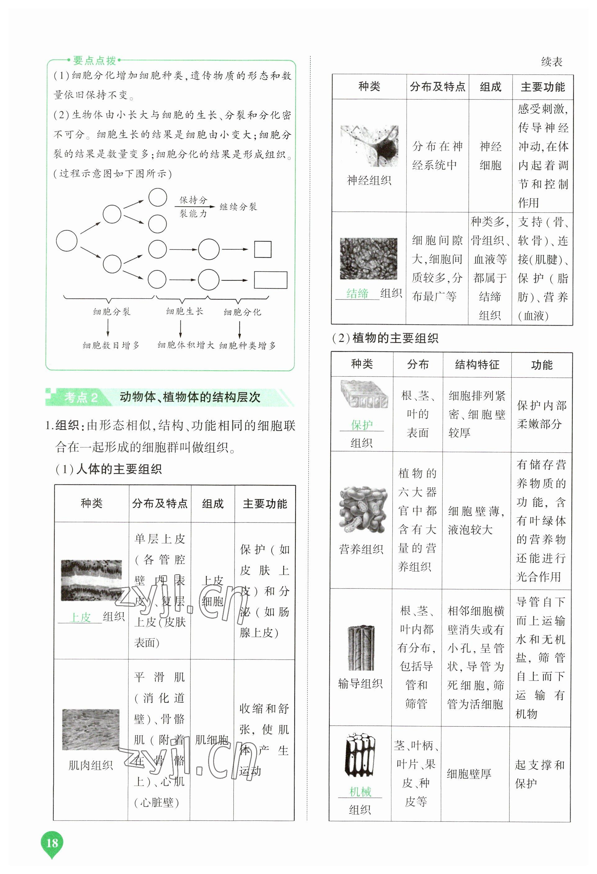 2023年河南中考第一輪總復(fù)習(xí)一本全生物 參考答案第18頁(yè)