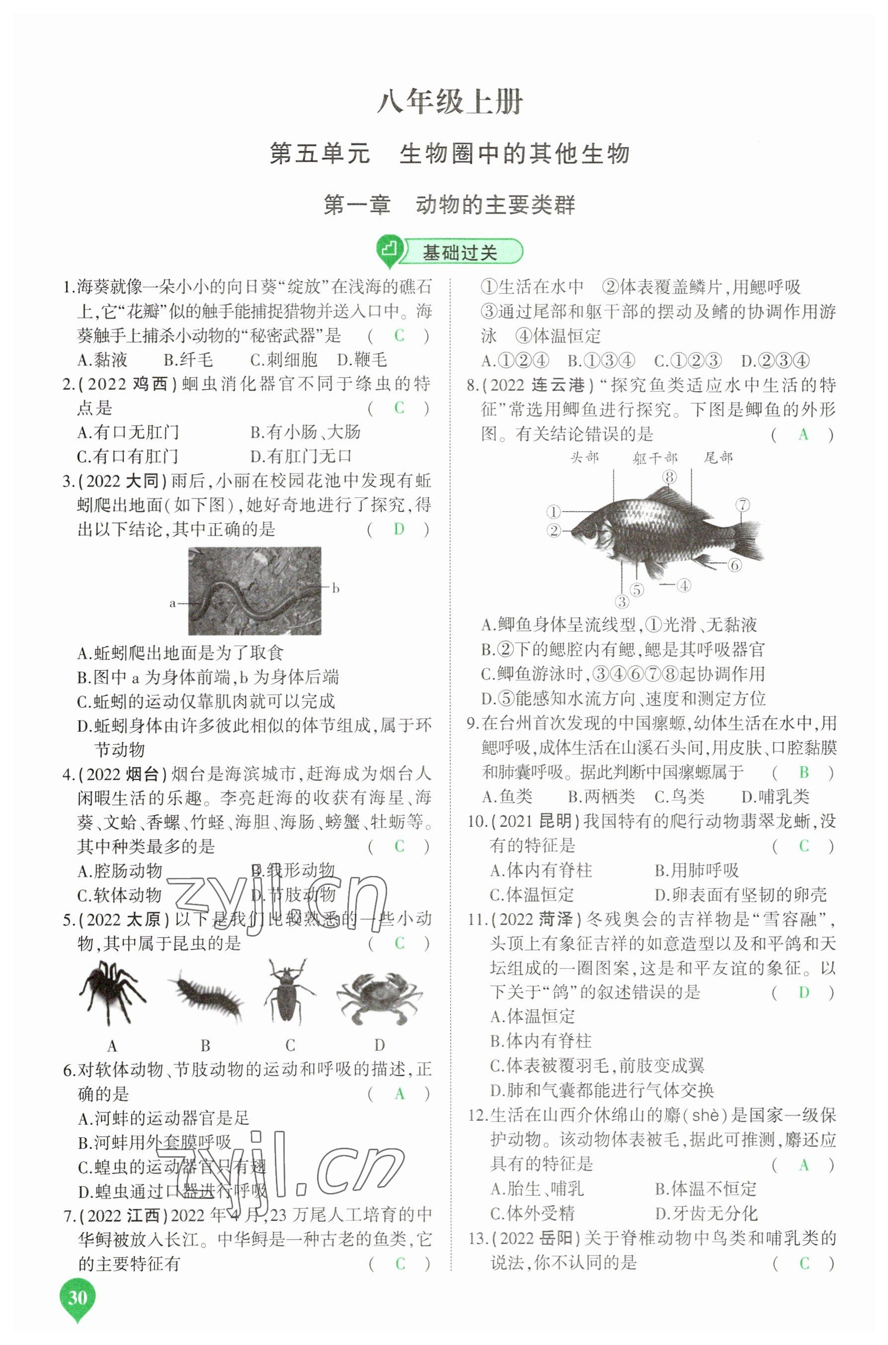 2023年河南中考第一輪總復(fù)習(xí)一本全生物 參考答案第30頁