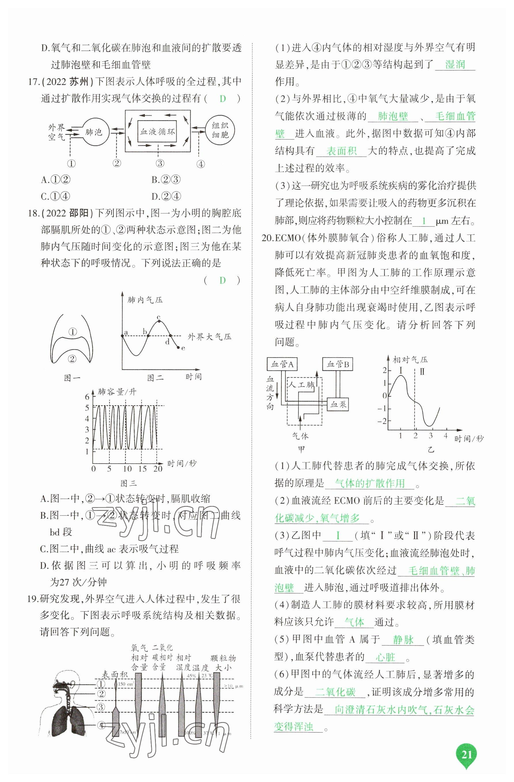 2023年河南中考第一輪總復(fù)習(xí)一本全生物 參考答案第21頁(yè)