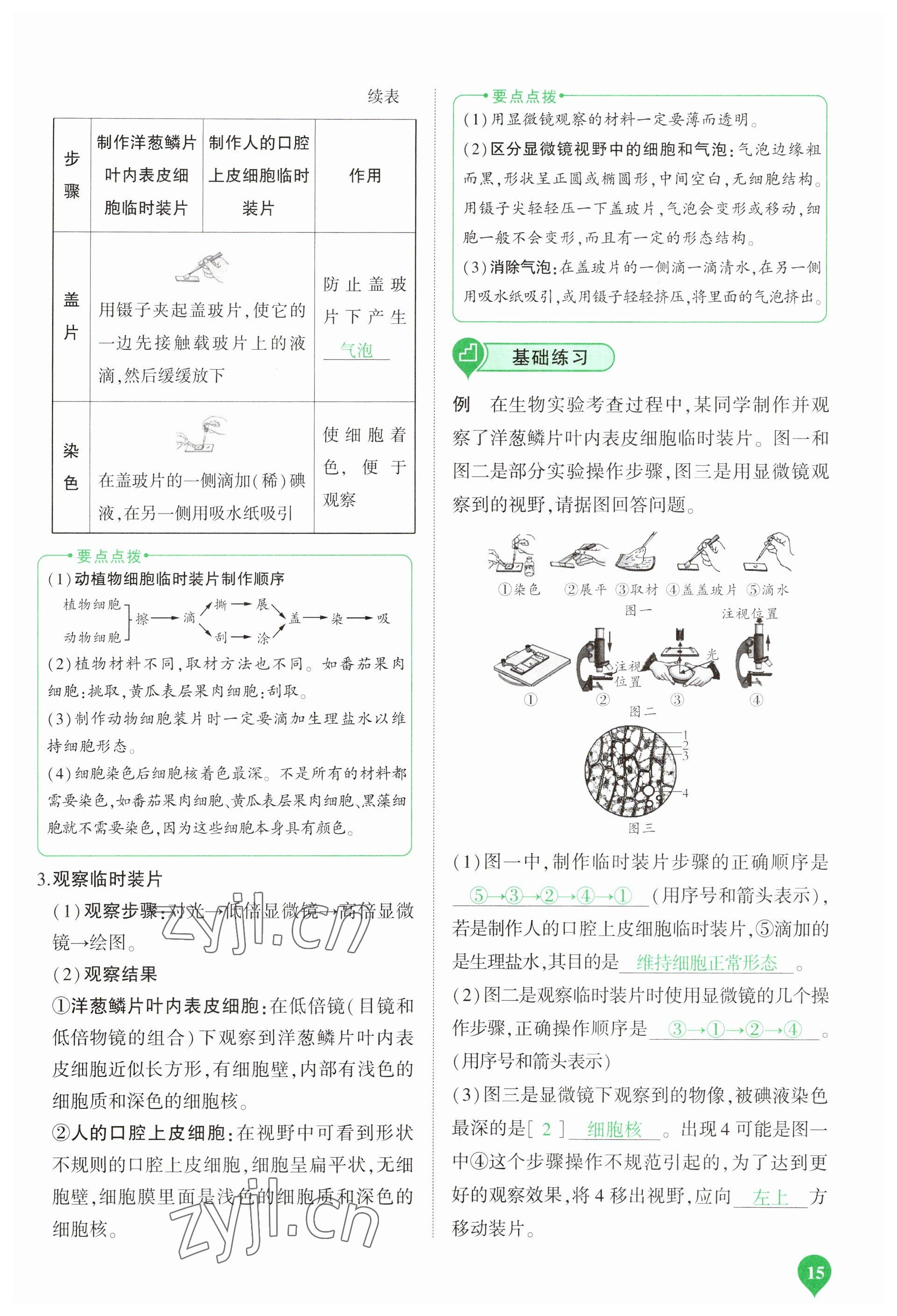 2023年河南中考第一輪總復(fù)習(xí)一本全生物 參考答案第15頁