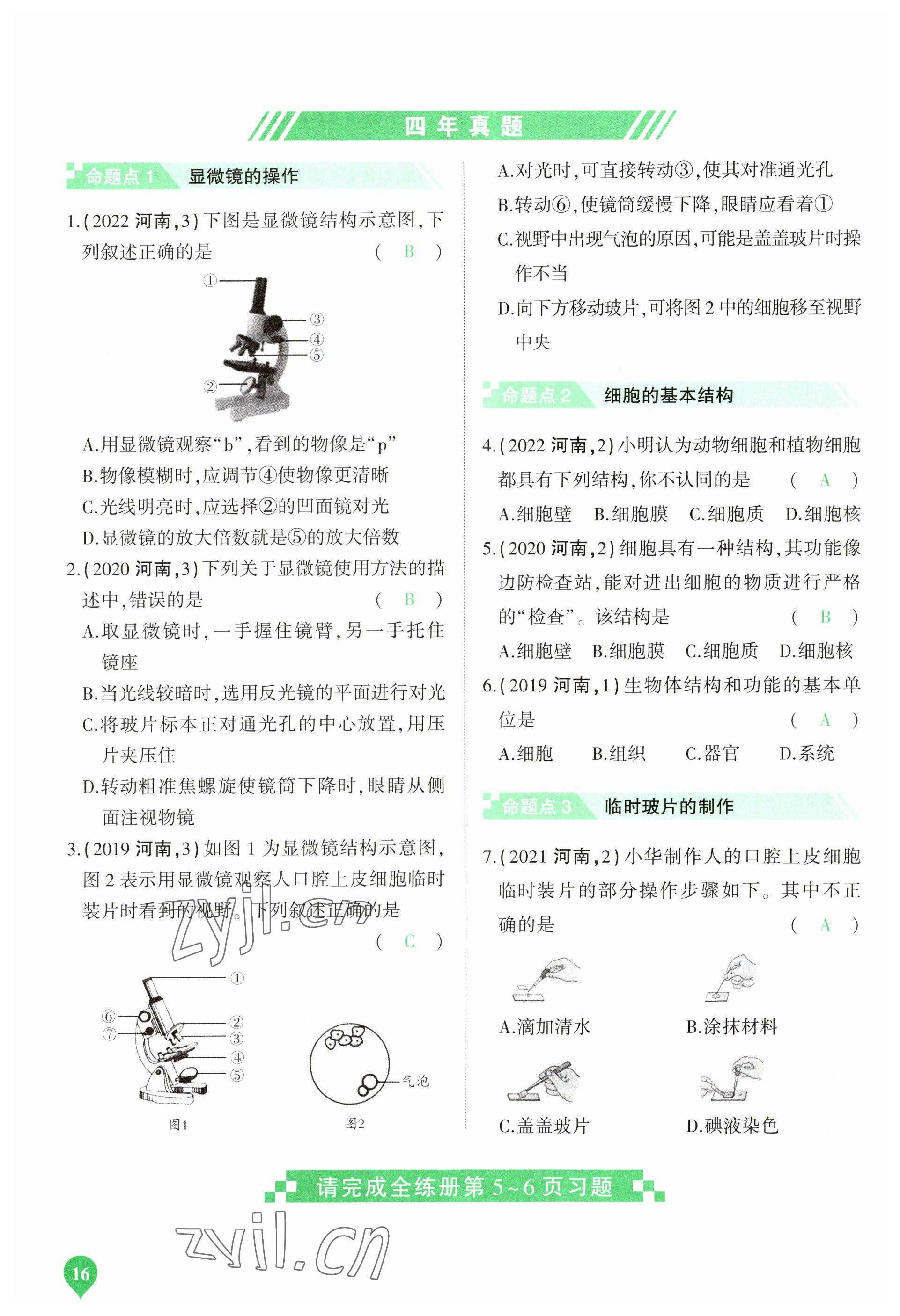 2023年河南中考第一輪總復(fù)習(xí)一本全生物 參考答案第16頁(yè)