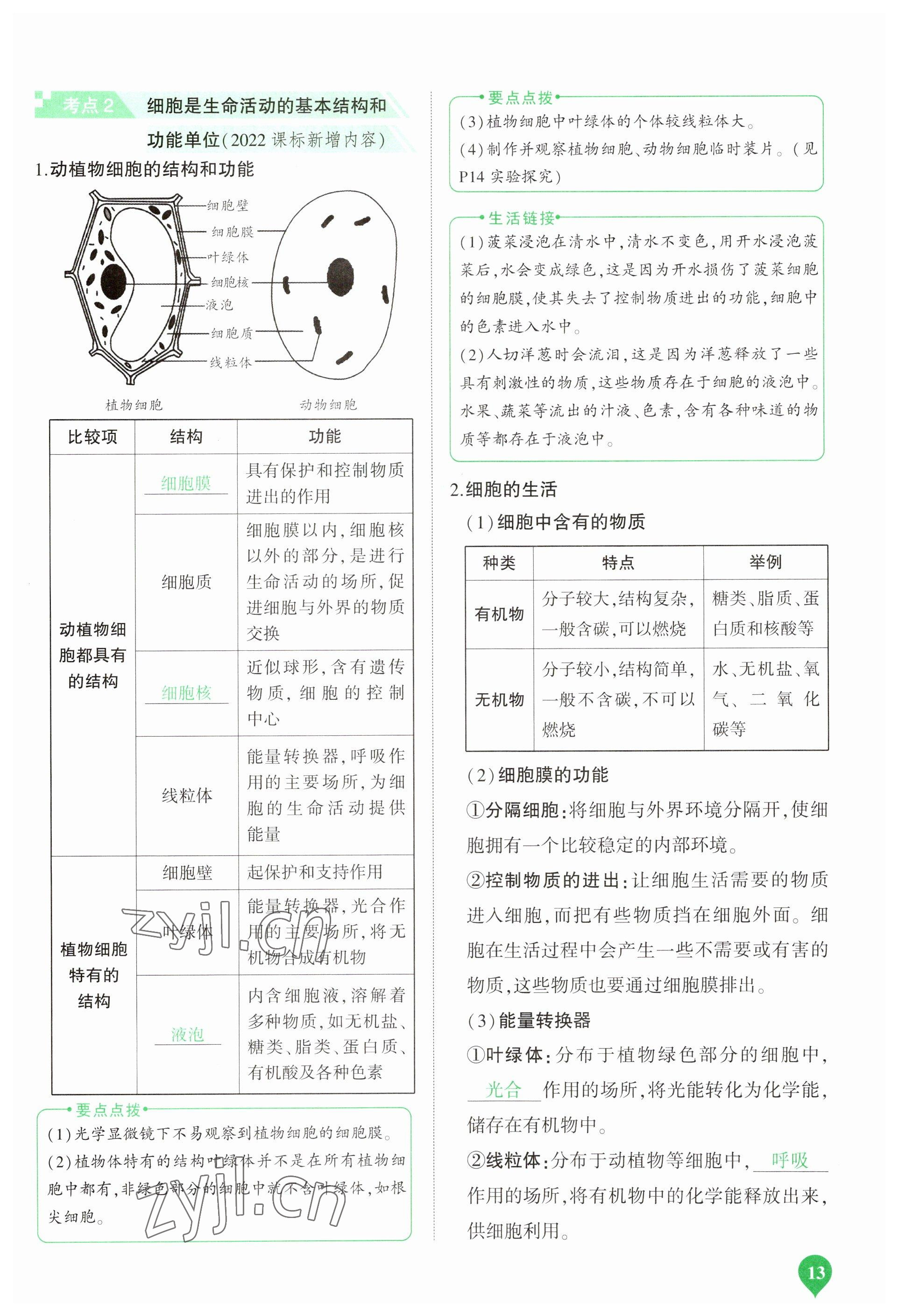 2023年河南中考第一輪總復(fù)習(xí)一本全生物 參考答案第13頁