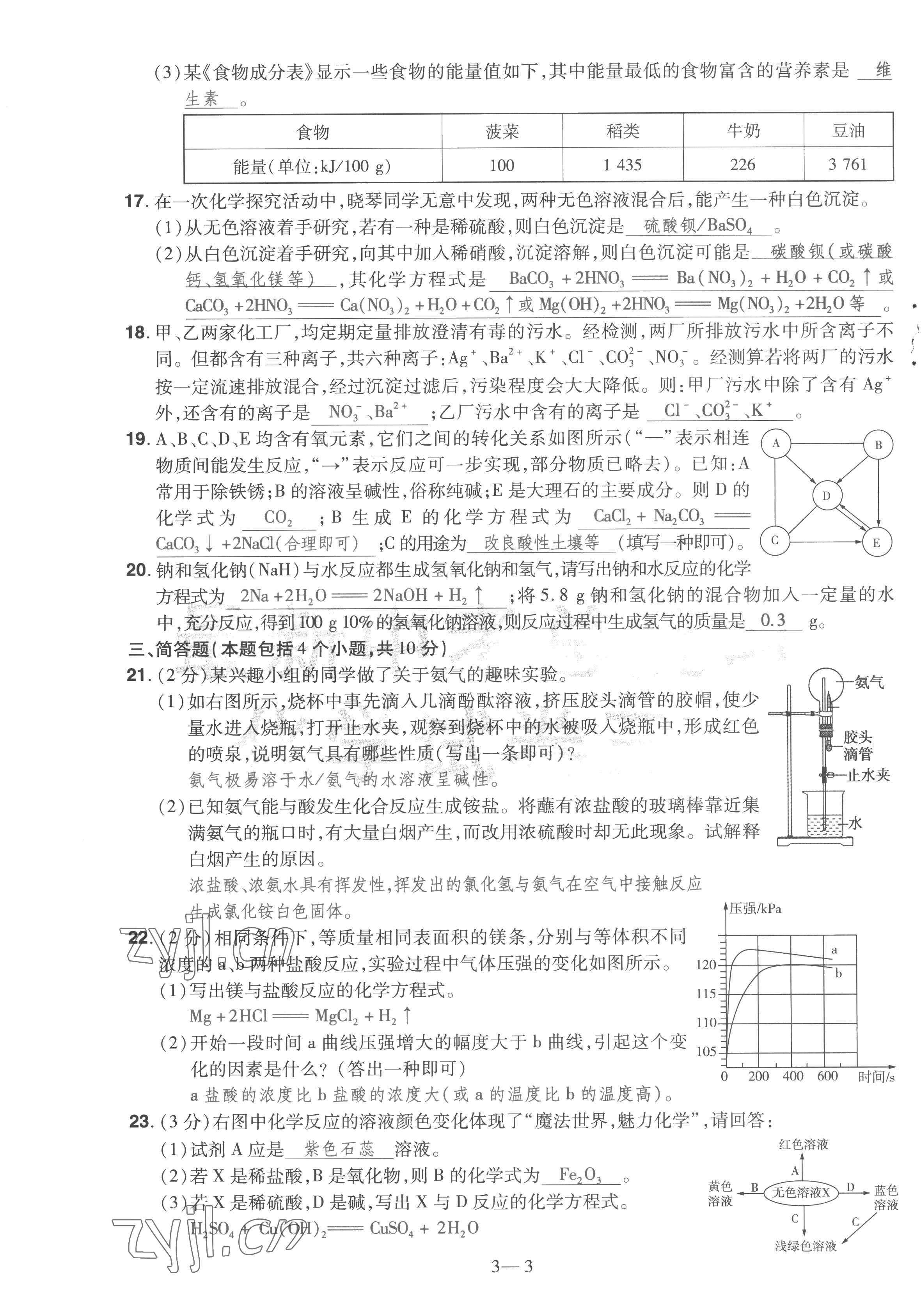 2023年洪文教育最新中考化学河南专版 第11页