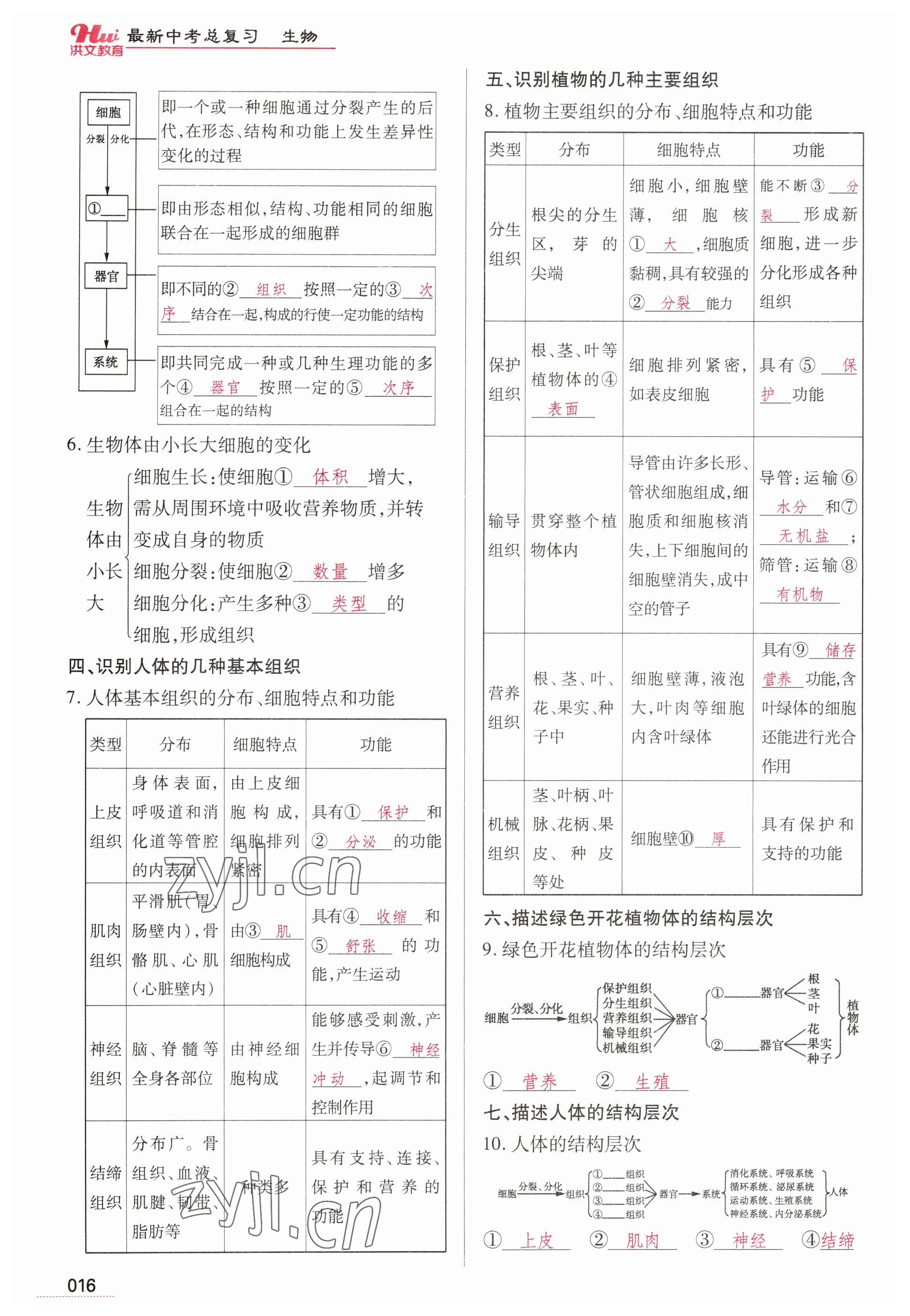 2023年洪文教育最新中考生物河南專版 參考答案第16頁