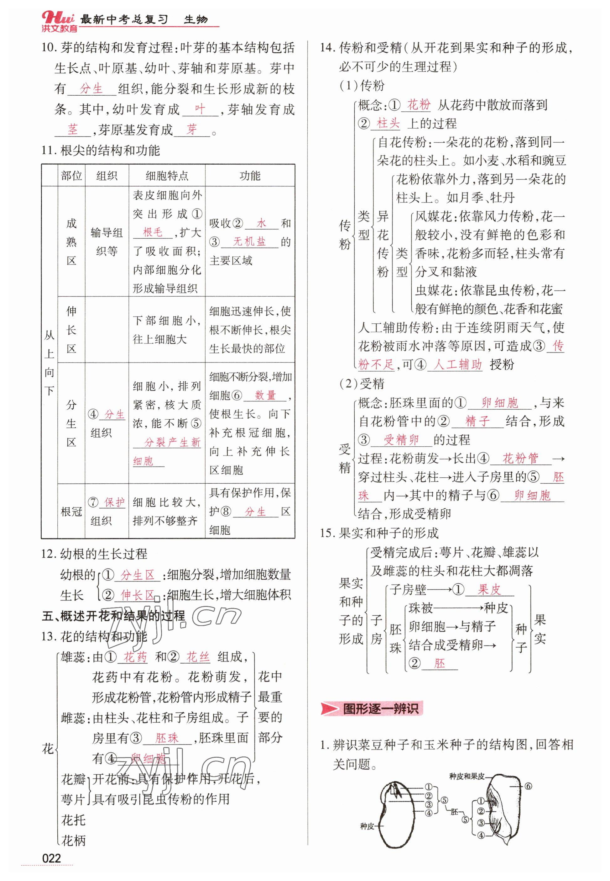 2023年洪文教育最新中考生物河南专版 参考答案第22页