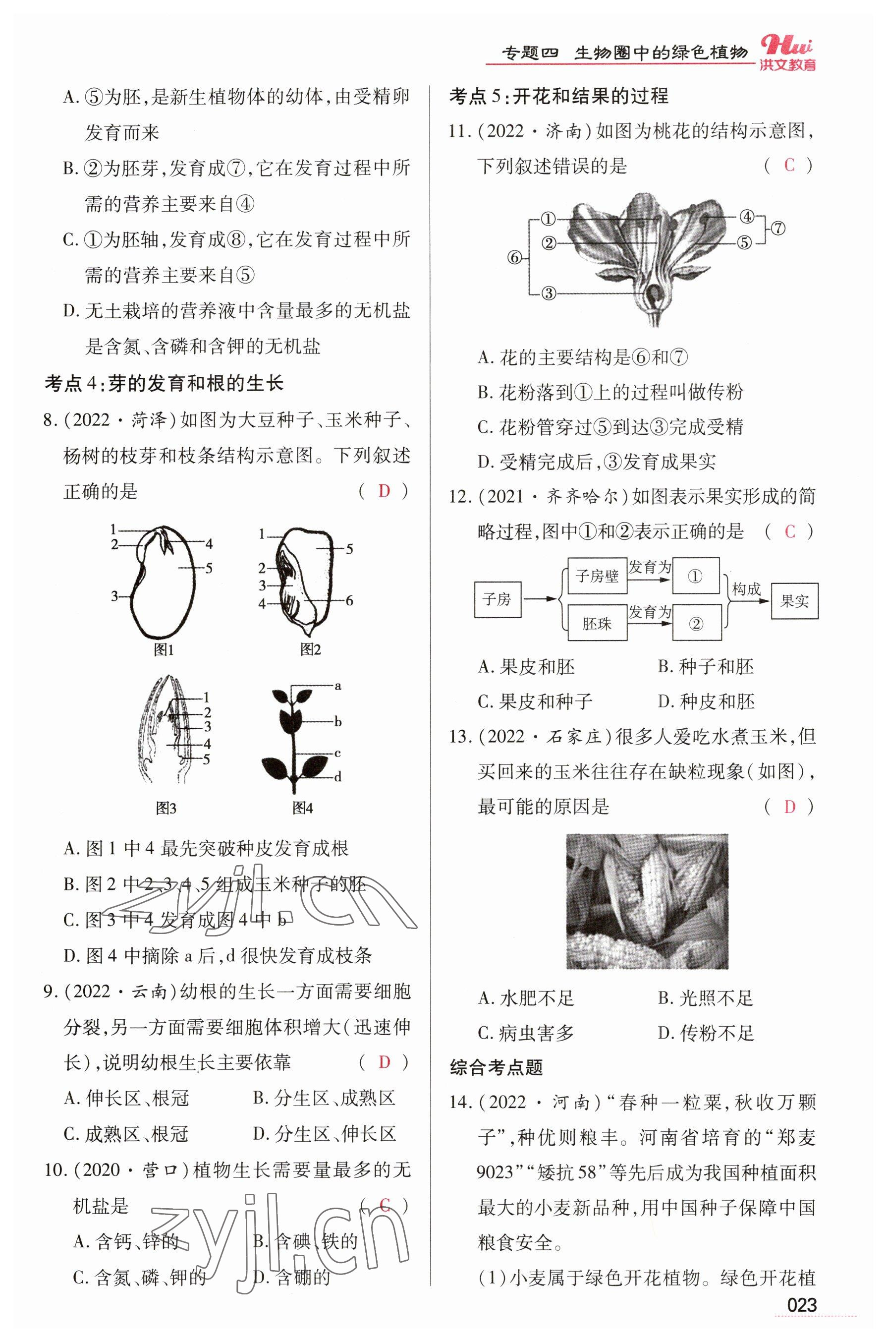 2023年洪文教育最新中考生物河南專版 參考答案第23頁