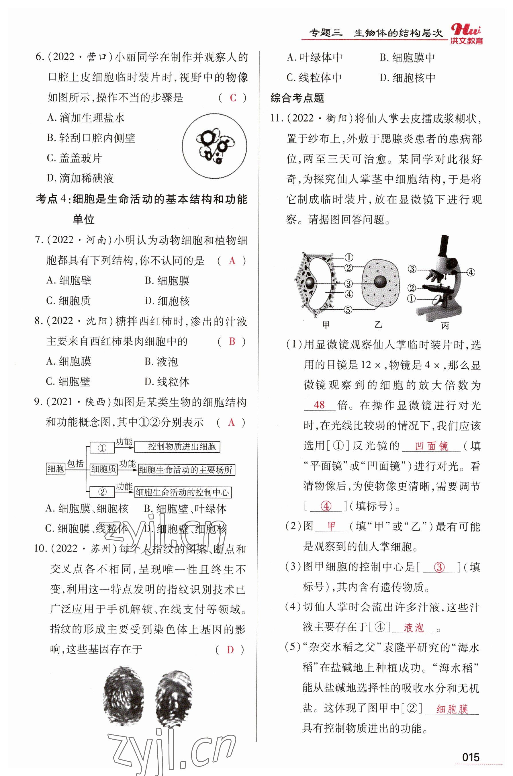 2023年洪文教育最新中考生物河南專版 參考答案第15頁