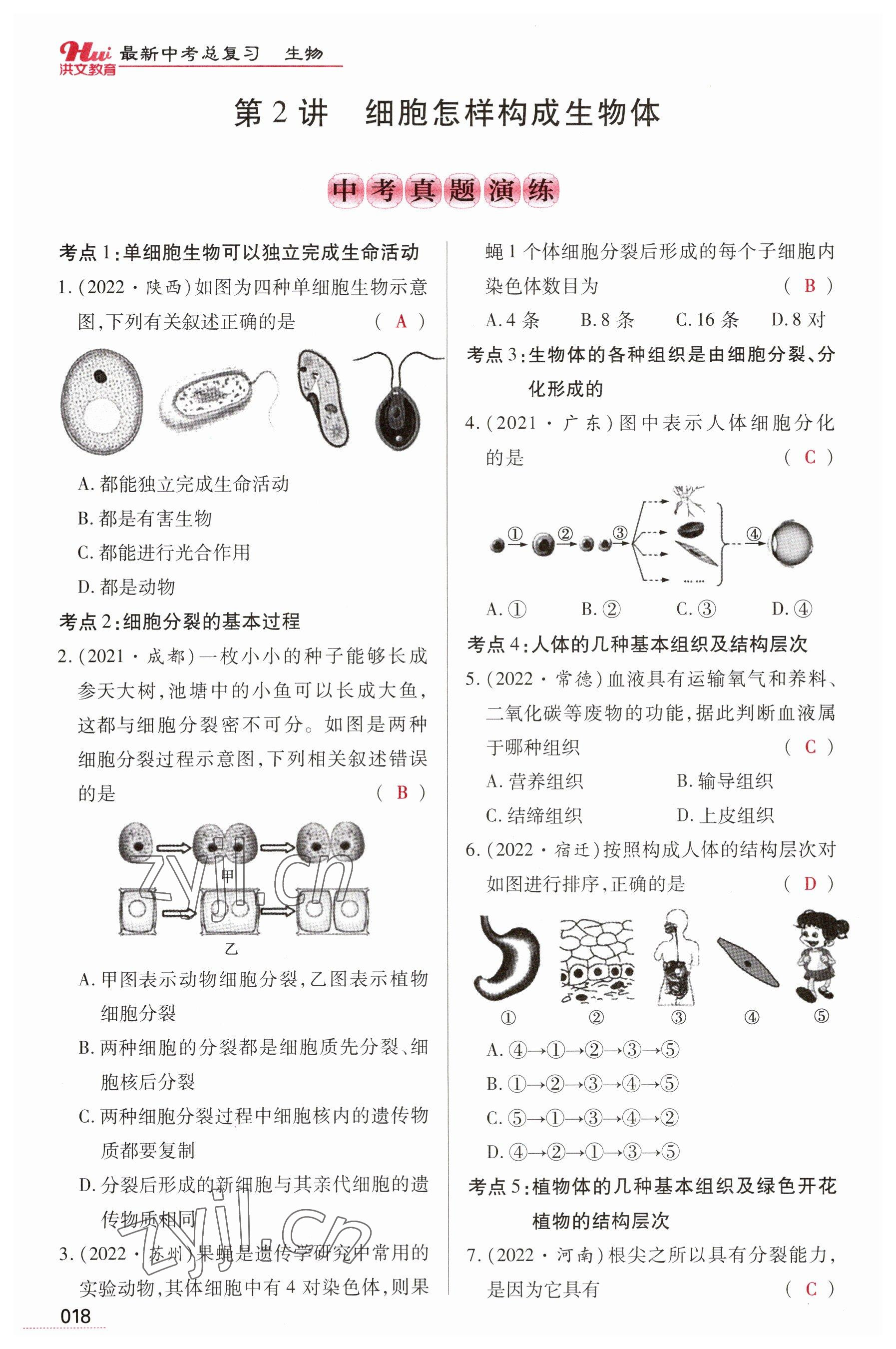 2023年洪文教育最新中考生物河南专版 参考答案第18页