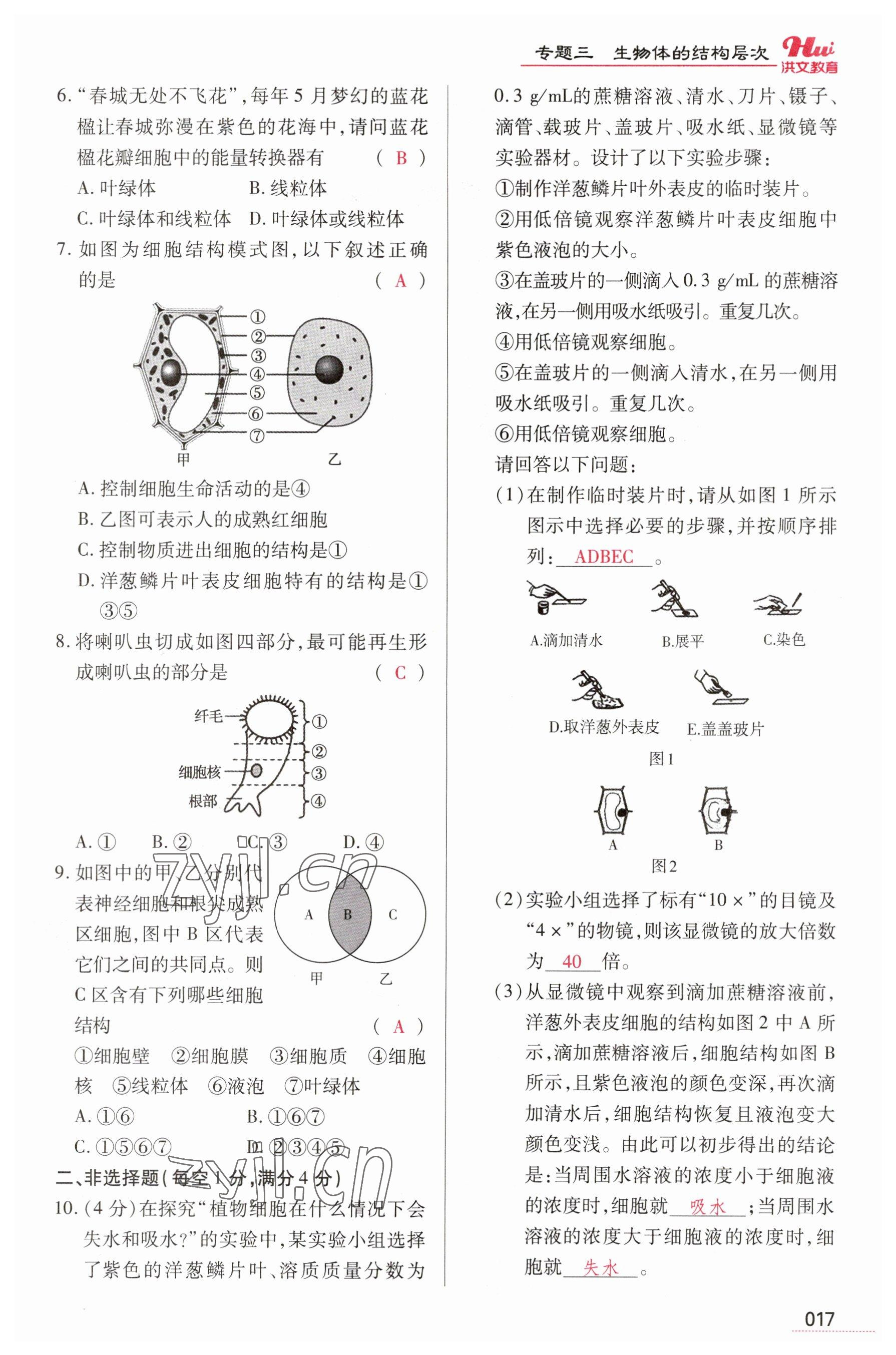 2023年洪文教育最新中考生物河南專版 參考答案第17頁