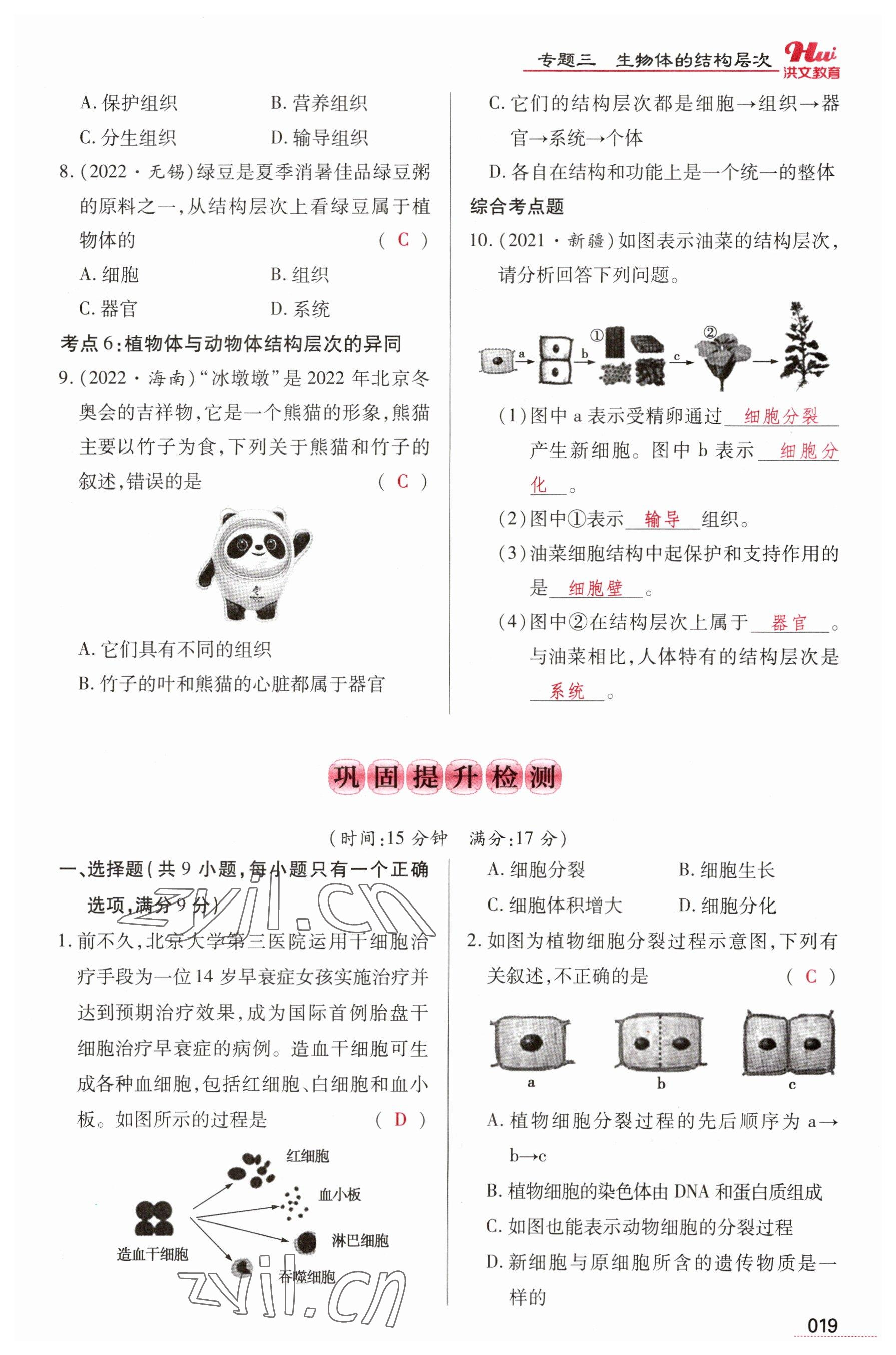 2023年洪文教育最新中考生物河南专版 参考答案第19页