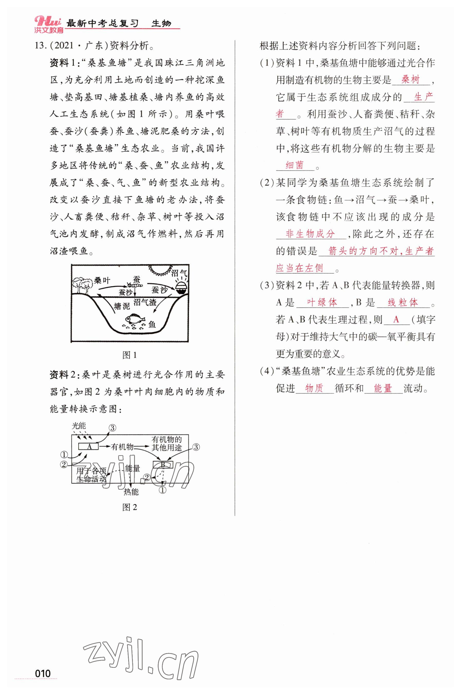 2023年洪文教育最新中考生物河南专版 参考答案第10页