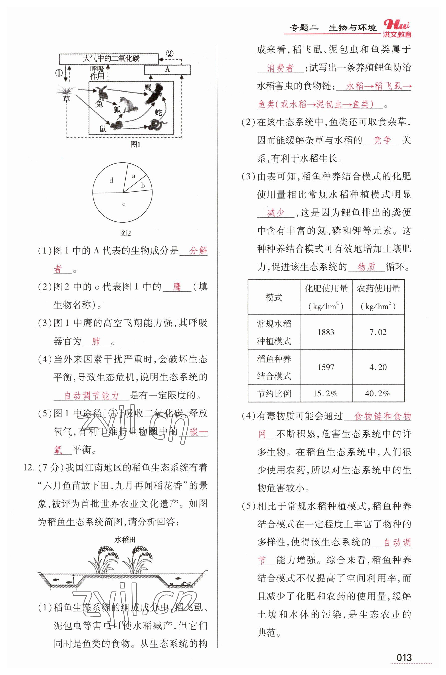 2023年洪文教育最新中考生物河南专版 参考答案第13页