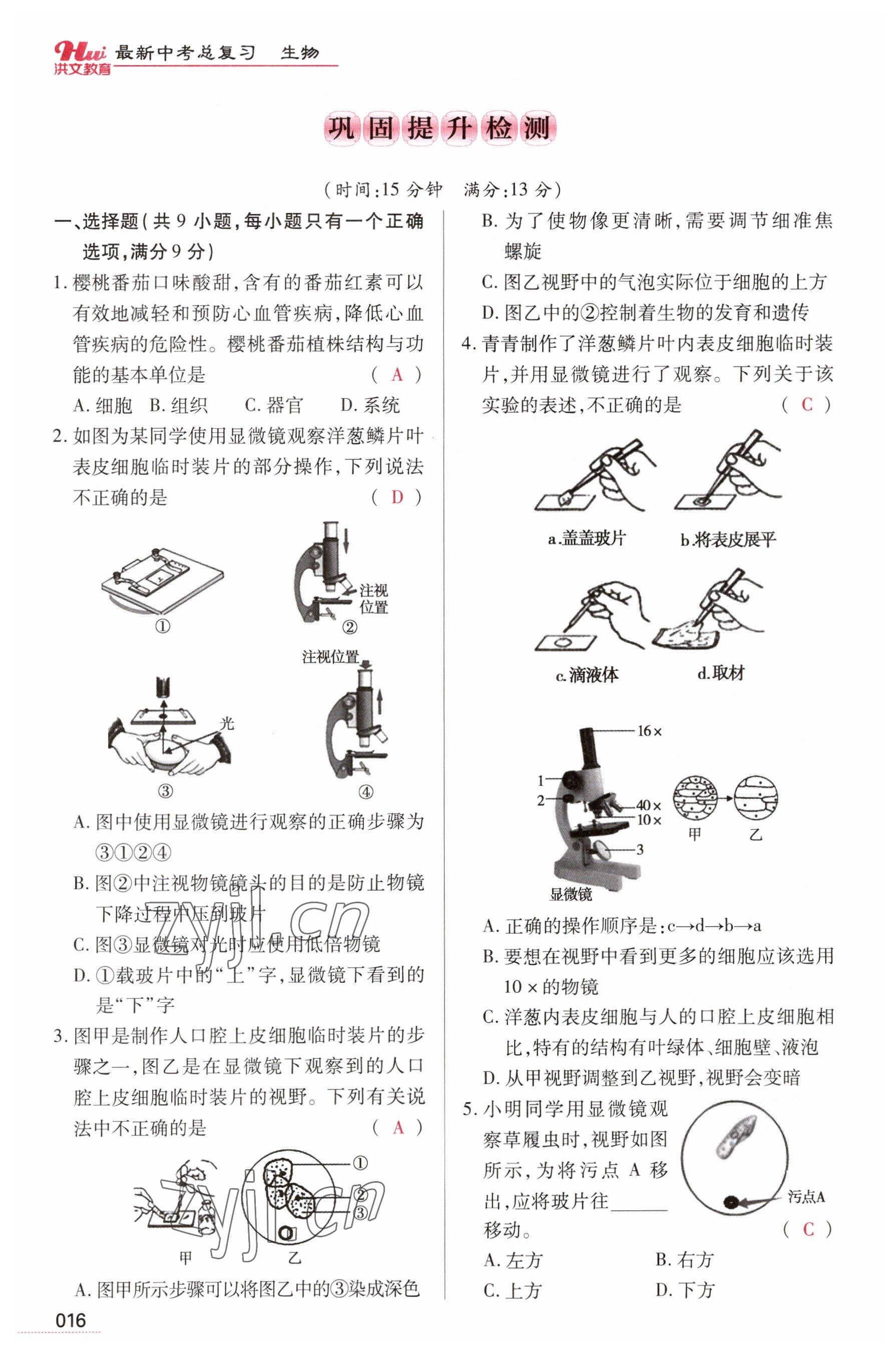 2023年洪文教育最新中考生物河南专版 参考答案第16页