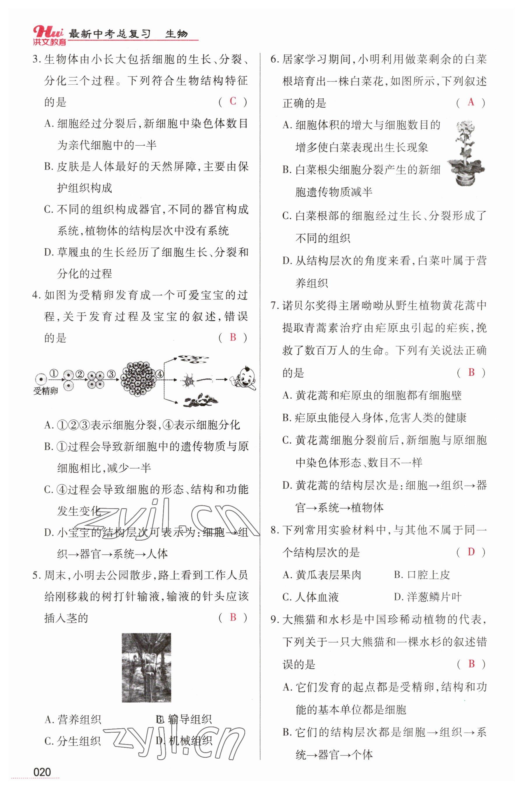 2023年洪文教育最新中考生物河南專版 參考答案第20頁