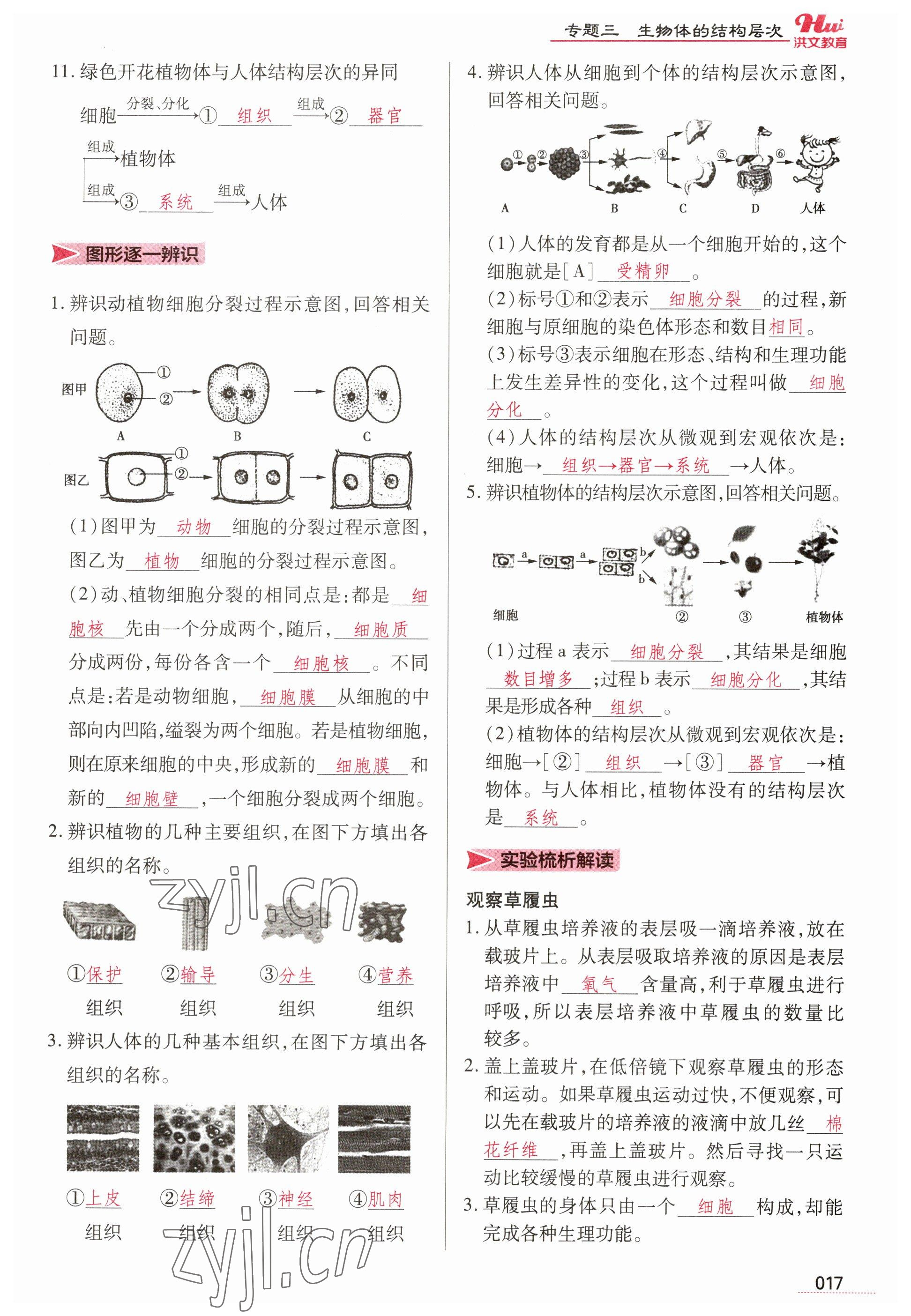 2023年洪文教育最新中考生物河南專版 參考答案第17頁