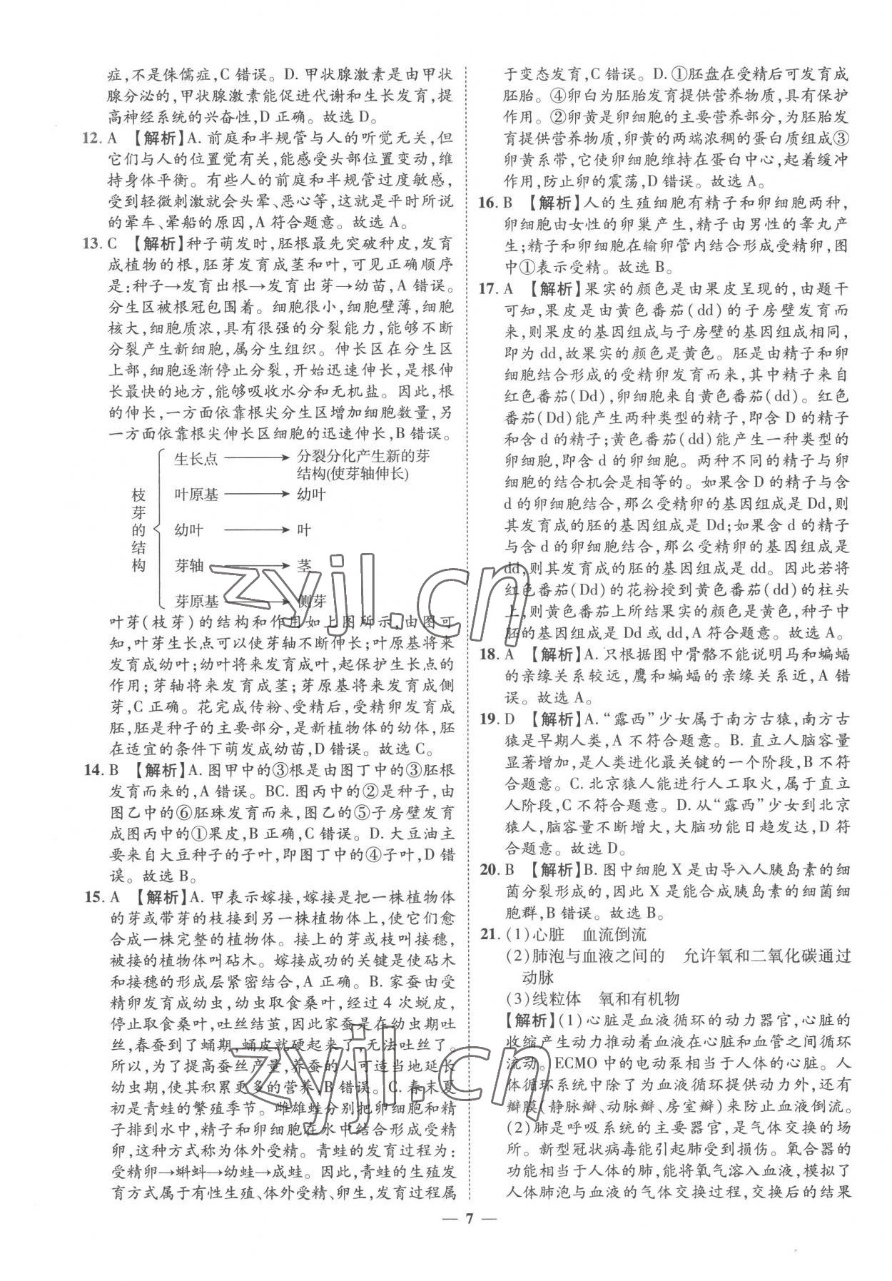 2023年3年真題2年模擬1年預測生物菏澤專版 參考答案第7頁