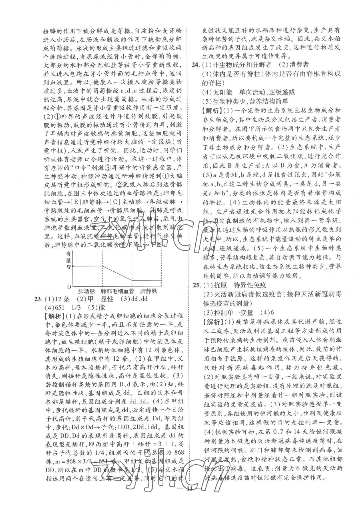 2023年3年真題2年模擬1年預測生物菏澤專版 參考答案第11頁
