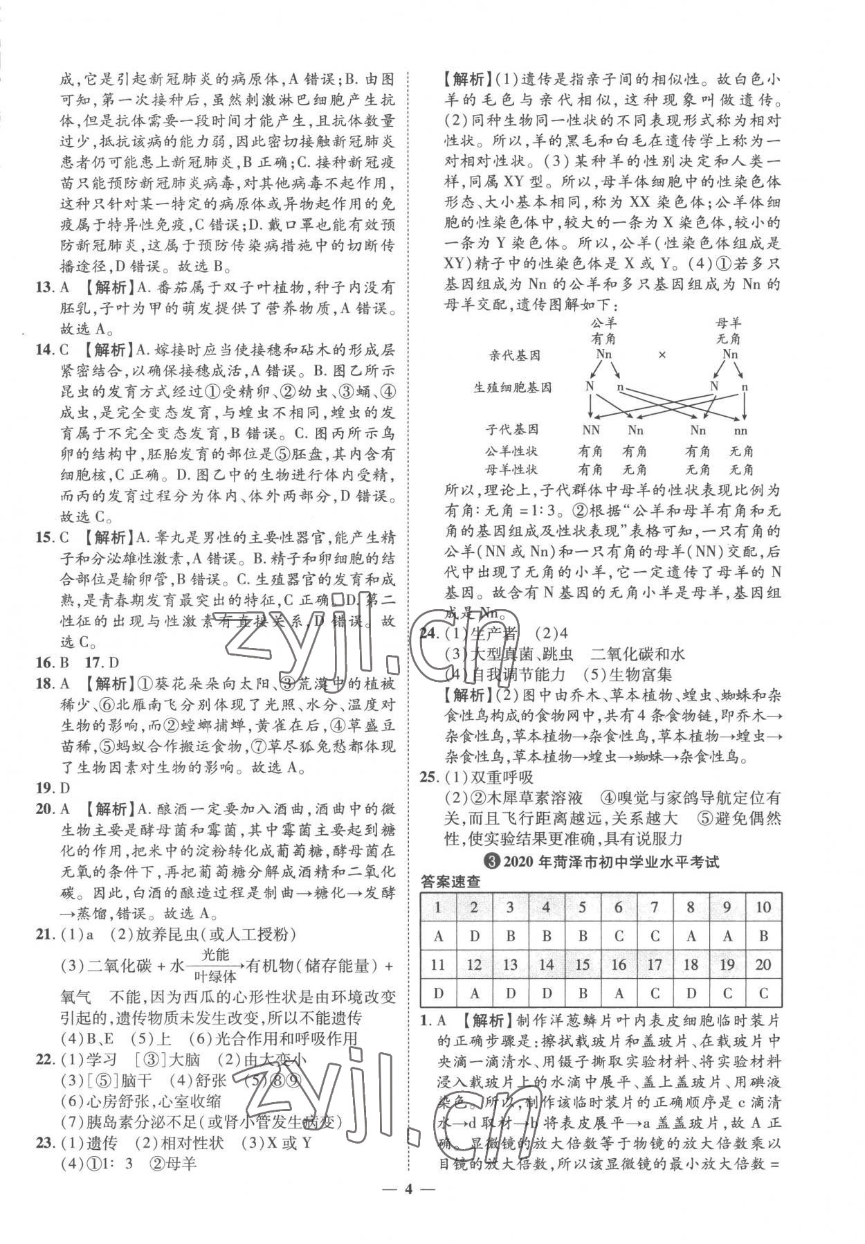 2023年3年真題2年模擬1年預(yù)測生物菏澤專版 參考答案第4頁